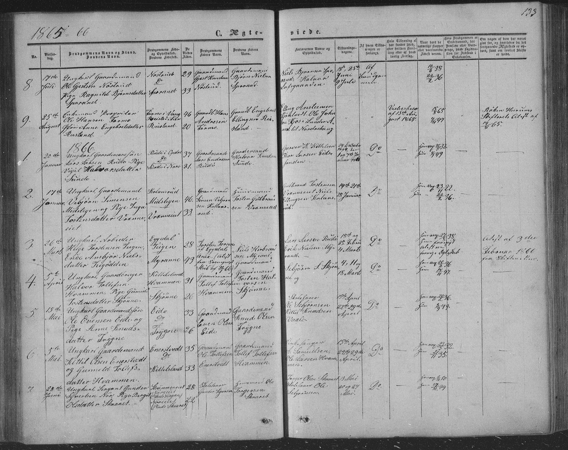 Nore kirkebøker, SAKO/A-238/F/Fa/L0002: Parish register (official) no. I 2, 1856-1871, p. 133