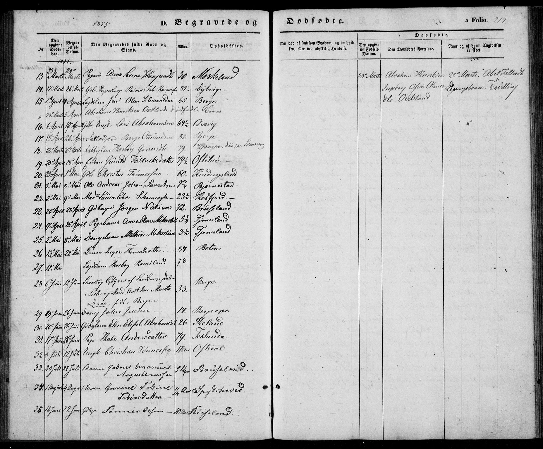 Lyngdal sokneprestkontor, AV/SAK-1111-0029/F/Fa/Fac/L0009: Parish register (official) no. A 9, 1852-1864, p. 214