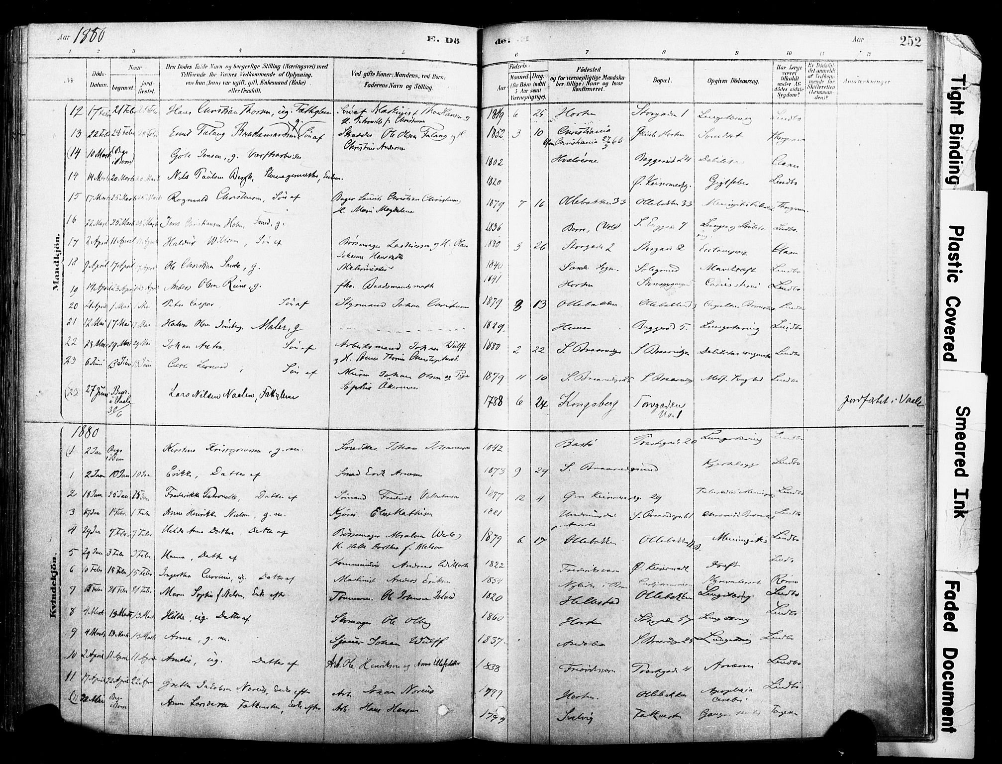 Horten kirkebøker, AV/SAKO-A-348/F/Fa/L0003: Parish register (official) no. 3, 1878-1887, p. 252