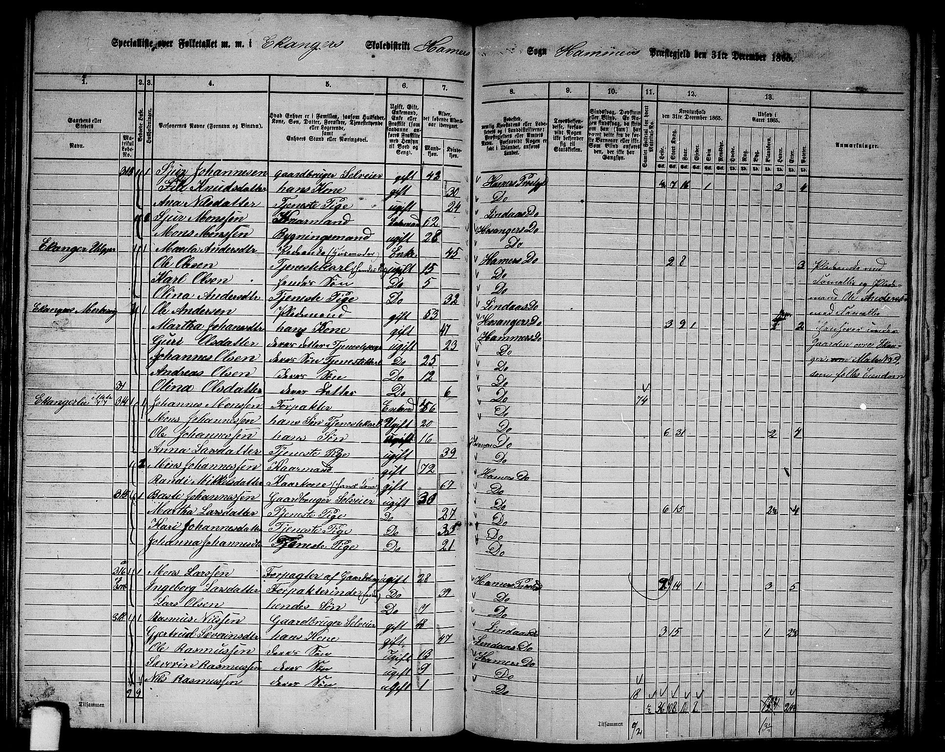 RA, 1865 census for Hamre, 1865, p. 119