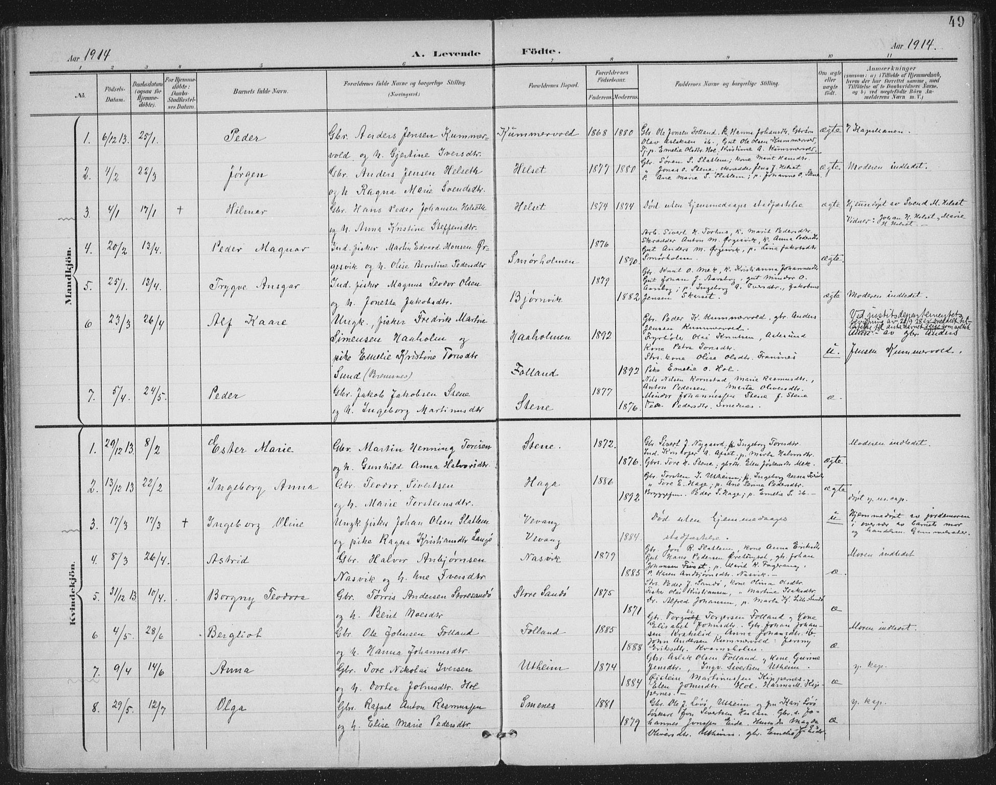 Ministerialprotokoller, klokkerbøker og fødselsregistre - Møre og Romsdal, AV/SAT-A-1454/570/L0833: Parish register (official) no. 570A07, 1901-1914, p. 49