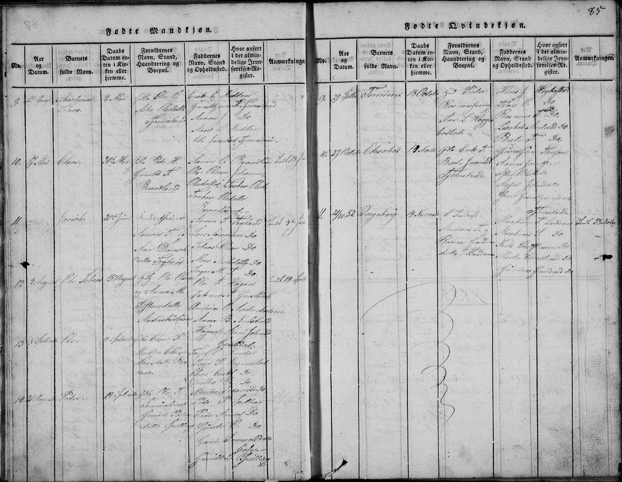 Nord-Audnedal sokneprestkontor, AV/SAK-1111-0032/F/Fb/Fbb/L0001: Parish register (copy) no. B 1, 1816-1858, p. 85