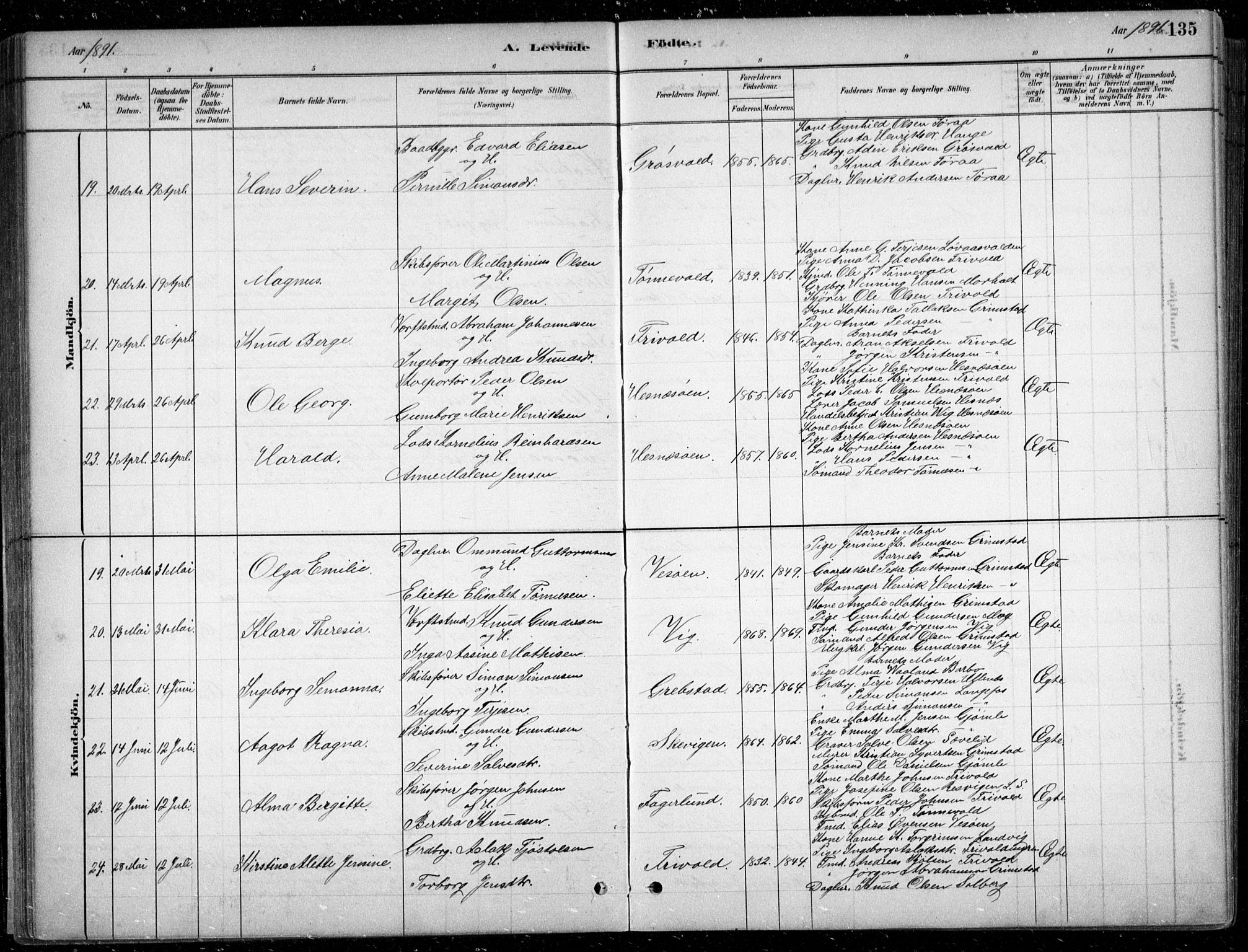 Fjære sokneprestkontor, SAK/1111-0011/F/Fb/L0011: Parish register (copy) no. B 11, 1881-1905, p. 135