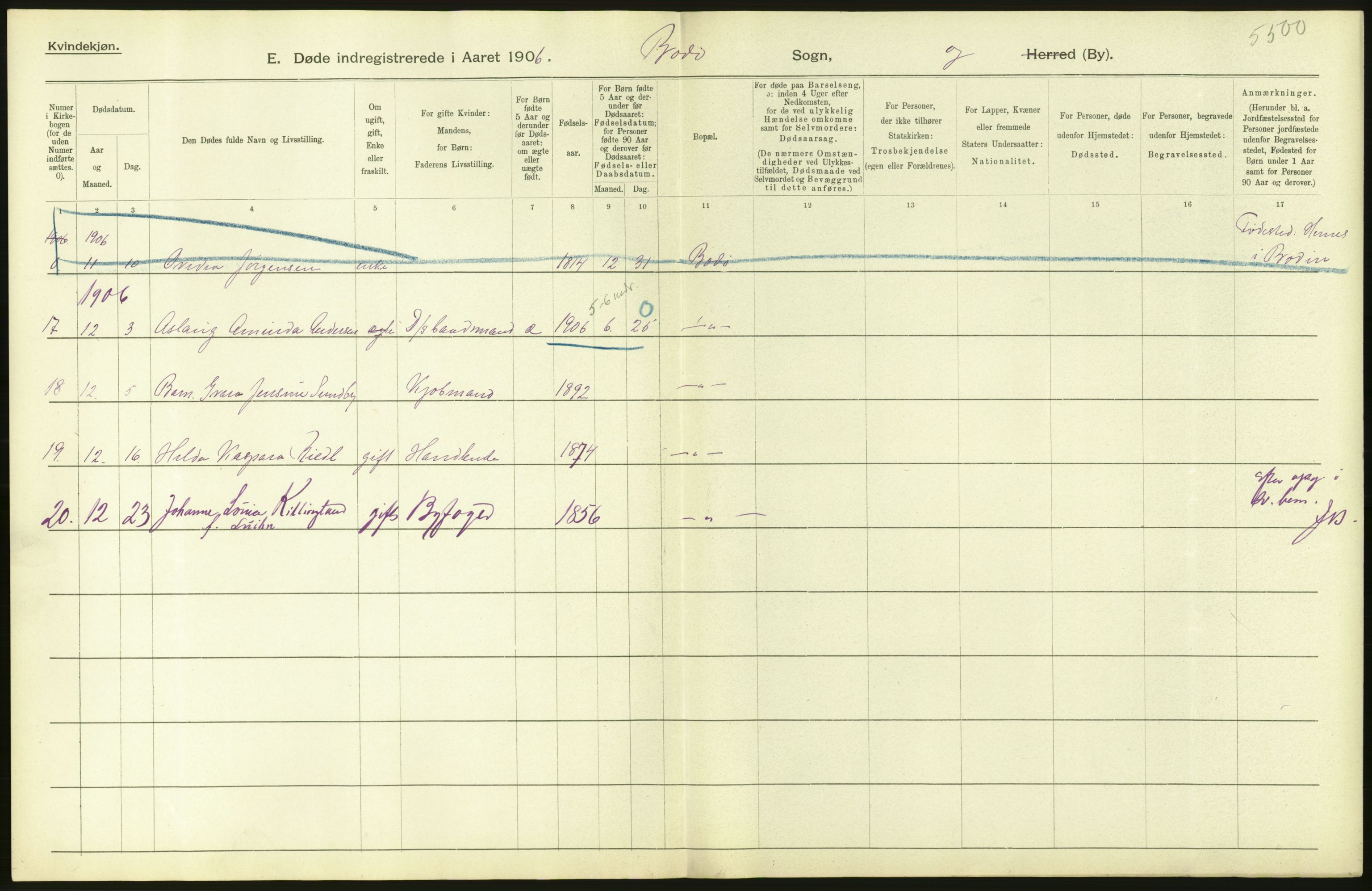Statistisk sentralbyrå, Sosiodemografiske emner, Befolkning, AV/RA-S-2228/D/Df/Dfa/Dfad/L0045: Nordlands amt: Døde. Bygder og byer., 1906, p. 16