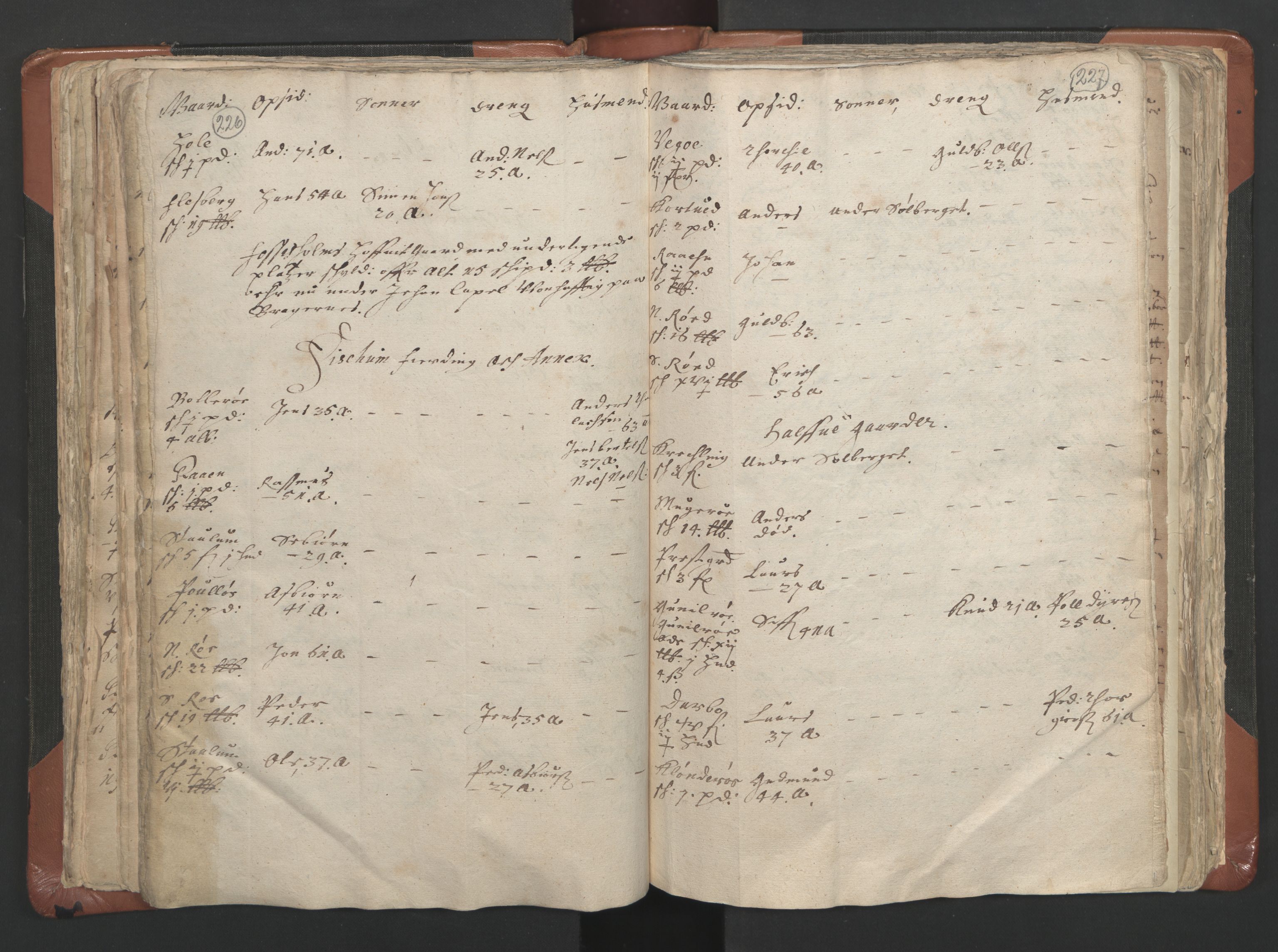 RA, Vicar's Census 1664-1666, no. 9: Bragernes deanery, 1664-1666, p. 226-227