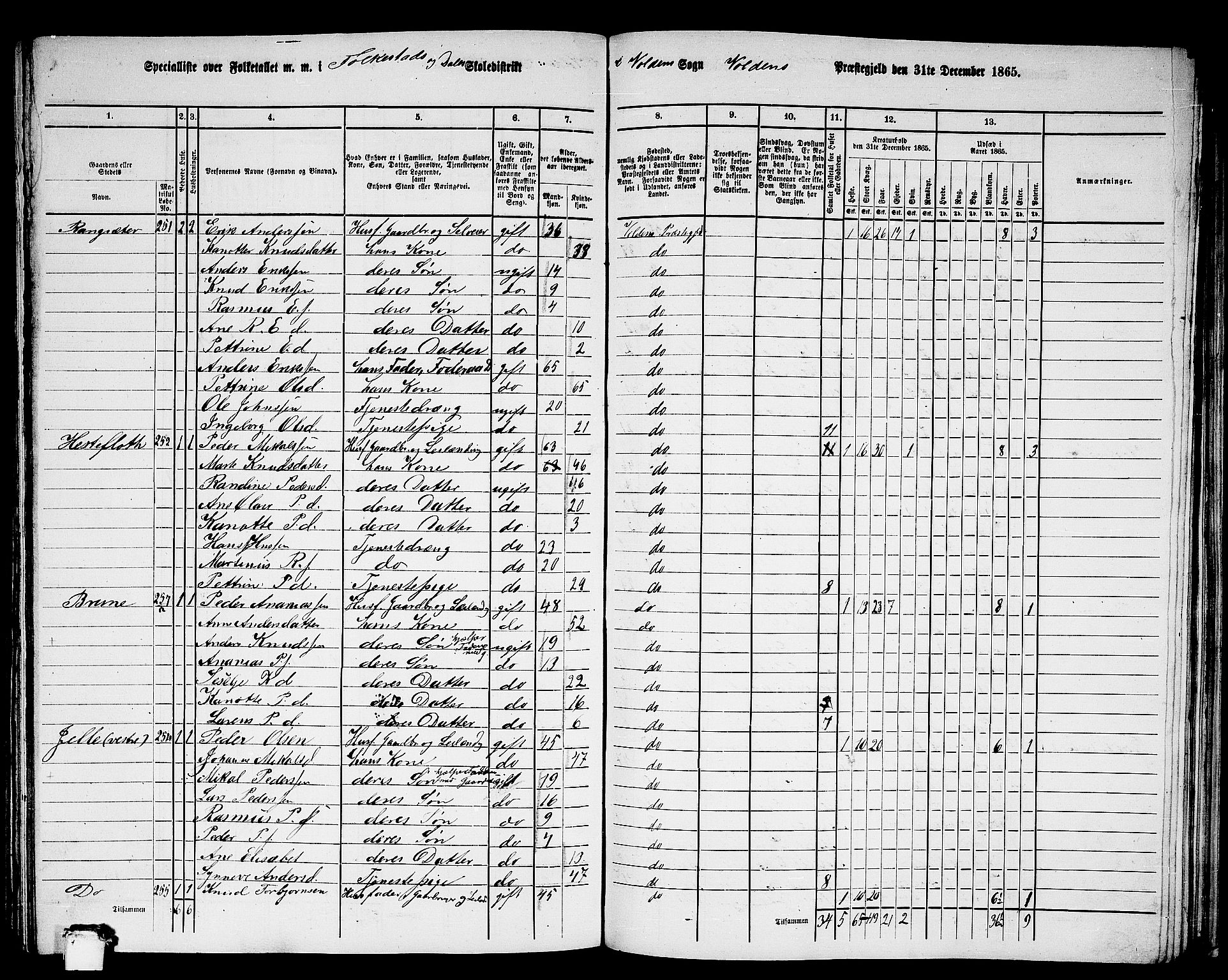 RA, 1865 census for Volda, 1865, p. 131