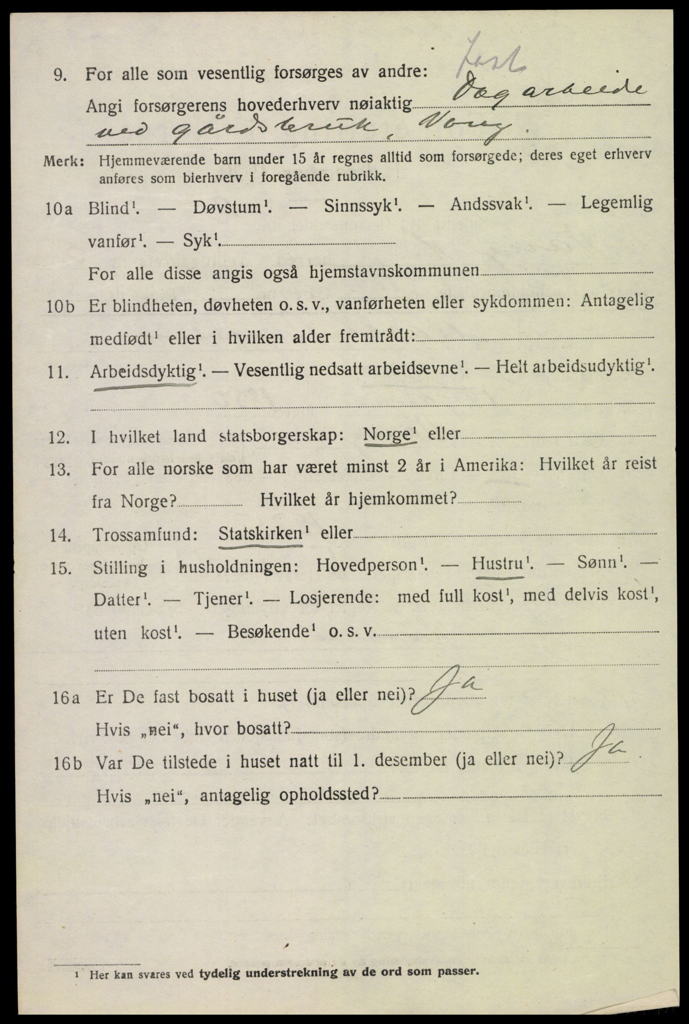 SAH, 1920 census for Vang (Hedmark), 1920, p. 15038