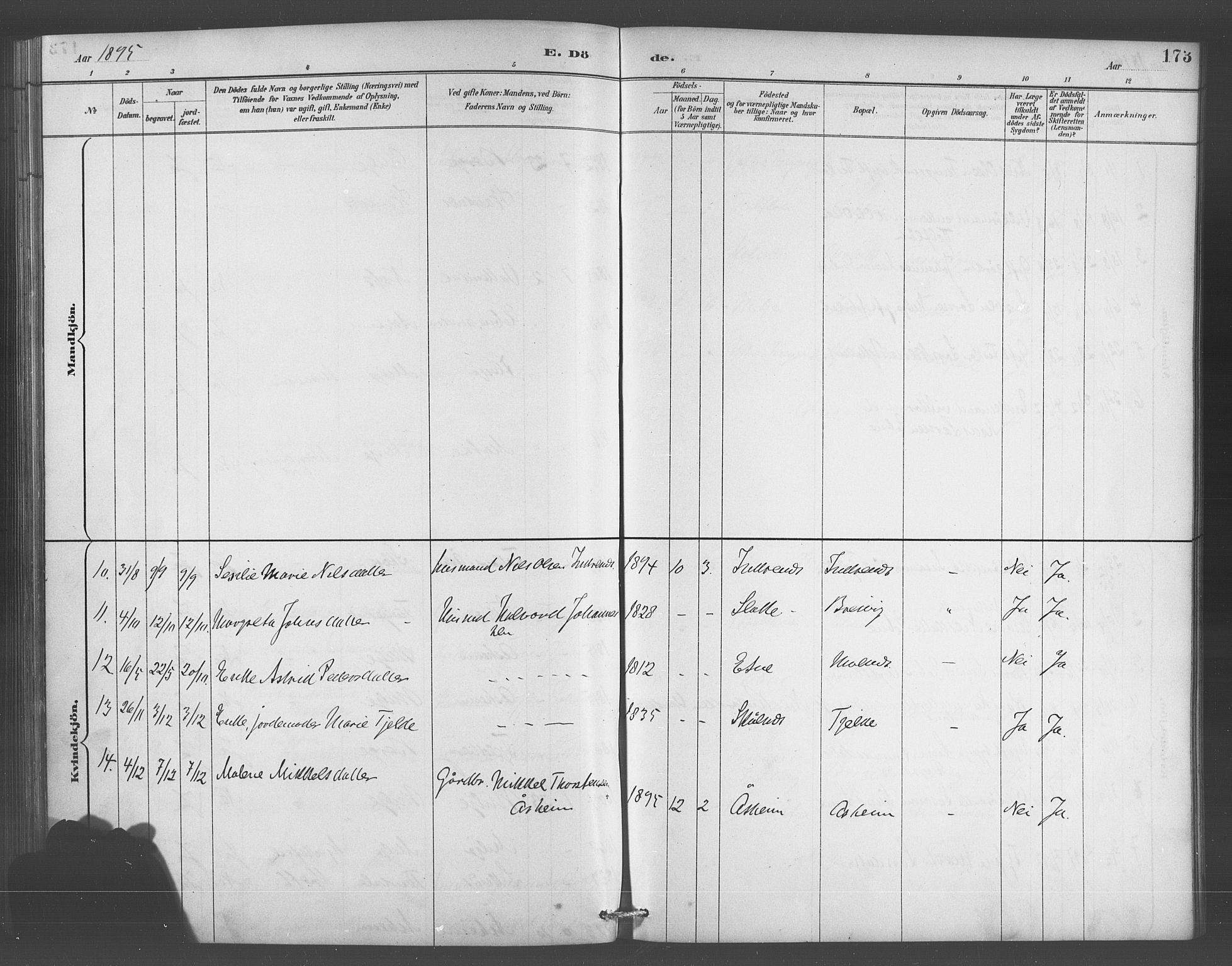 Skånevik sokneprestembete, AV/SAB-A-77801/H/Hab: Parish register (copy) no. A 2, 1888-1924, p. 173