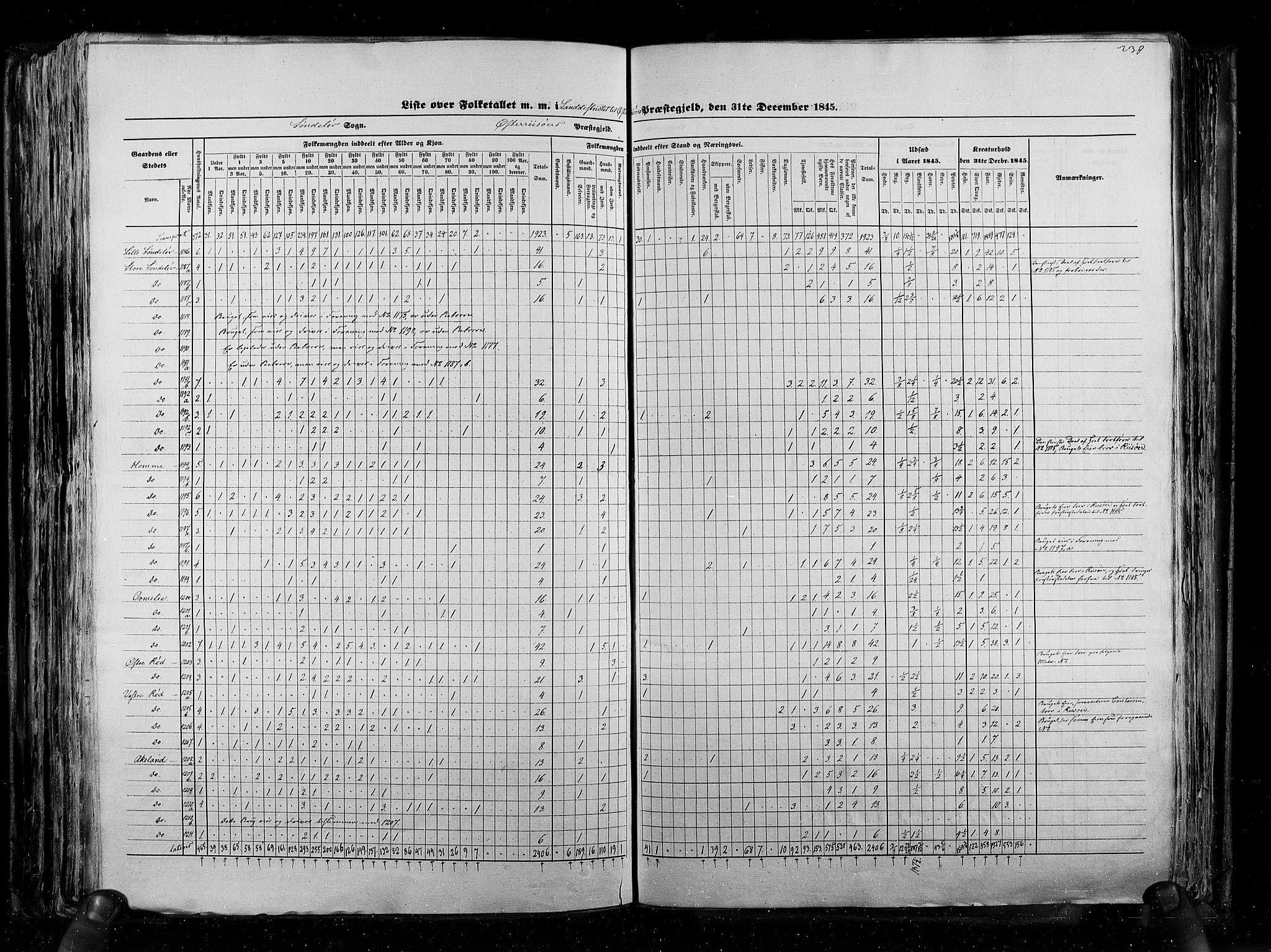 RA, Census 1845, vol. 5: Bratsberg amt og Nedenes og Råbyggelaget amt, 1845, p. 238