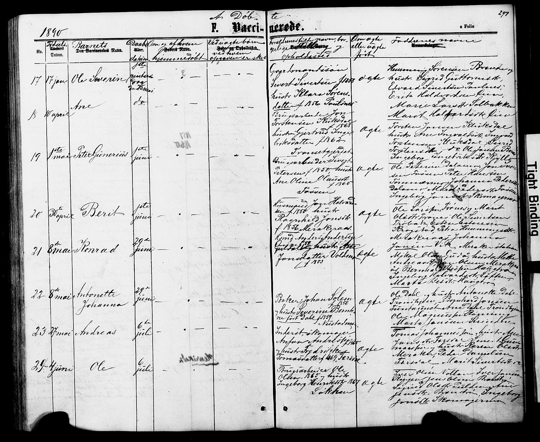 Ministerialprotokoller, klokkerbøker og fødselsregistre - Nord-Trøndelag, AV/SAT-A-1458/706/L0049: Parish register (copy) no. 706C01, 1864-1895, p. 297