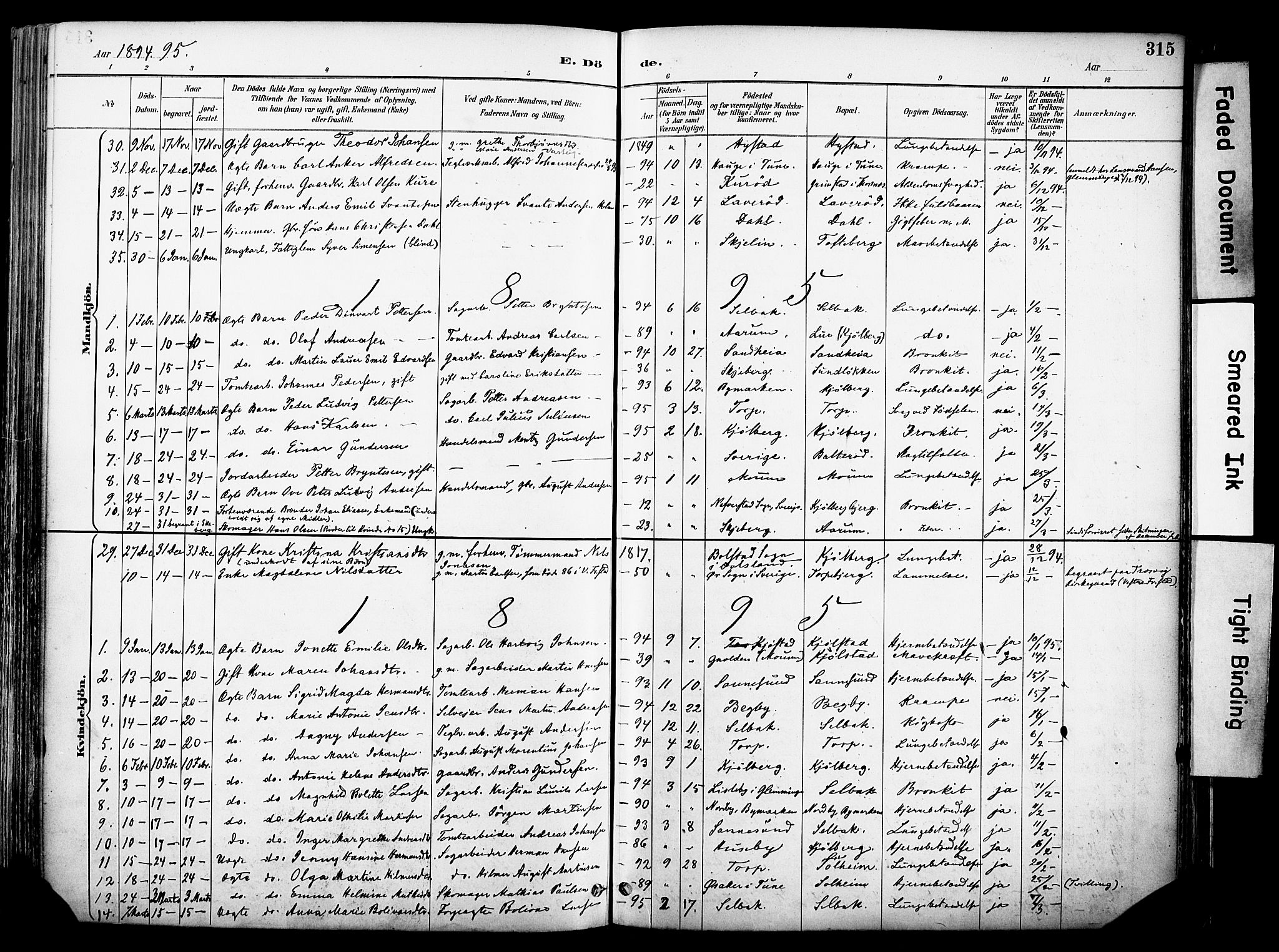 Borge prestekontor Kirkebøker, AV/SAO-A-10903/F/Fa/L0008: Parish register (official) no. I 8B, 1887-1902, p. 315