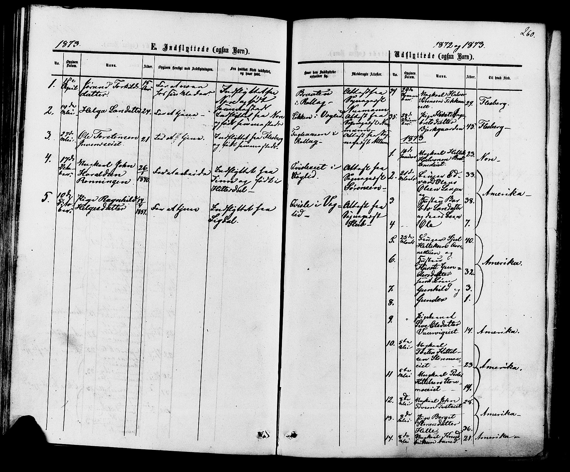 Rollag kirkebøker, AV/SAKO-A-240/F/Fa/L0009: Parish register (official) no. I 9, 1860-1874, p. 260