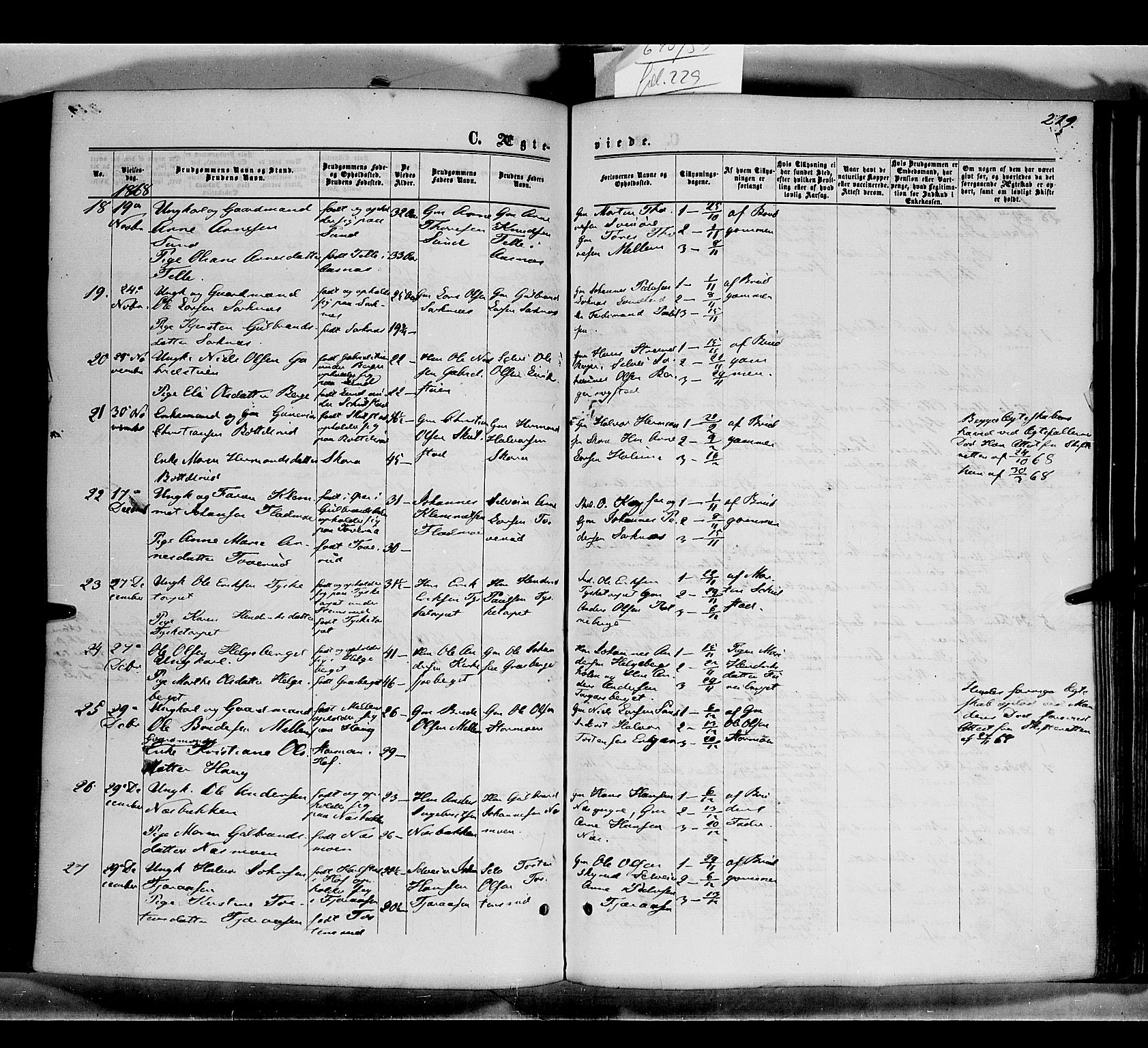 Grue prestekontor, SAH/PREST-036/H/Ha/Haa/L0010: Parish register (official) no. 10, 1864-1873, p. 219