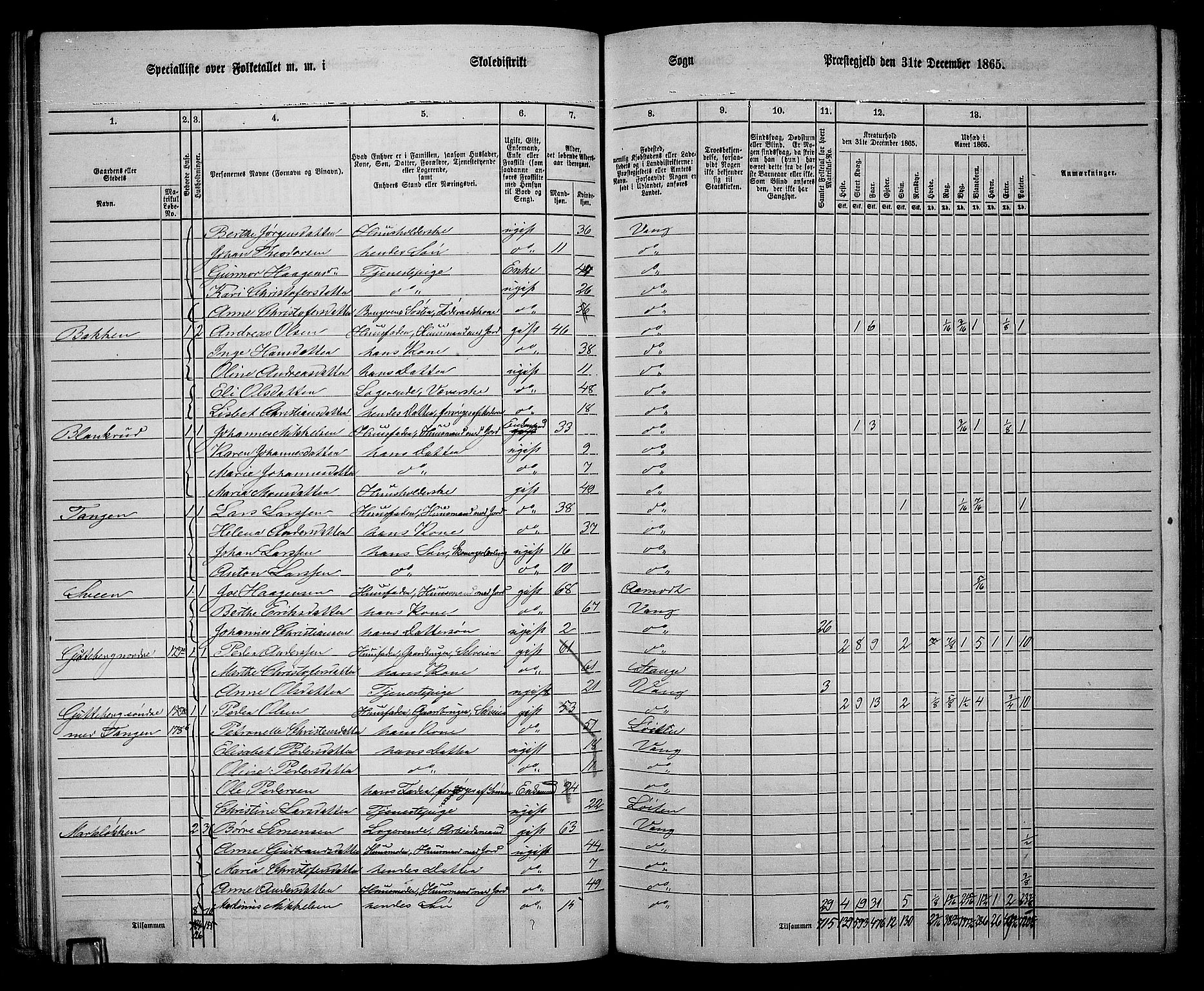 RA, 1865 census for Vang/Vang og Furnes, 1865, p. 200