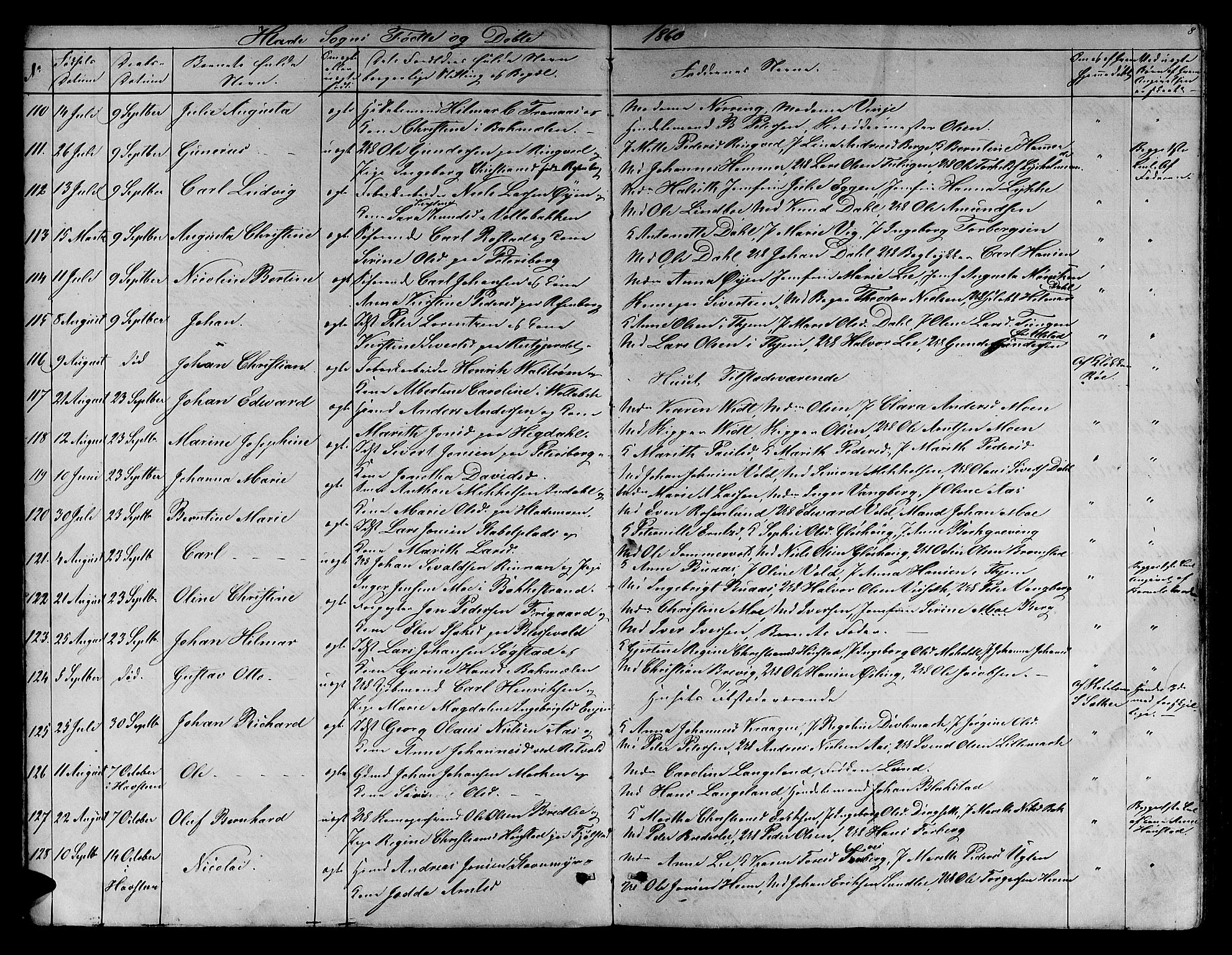 Ministerialprotokoller, klokkerbøker og fødselsregistre - Sør-Trøndelag, SAT/A-1456/606/L0311: Parish register (copy) no. 606C07, 1860-1877, p. 8