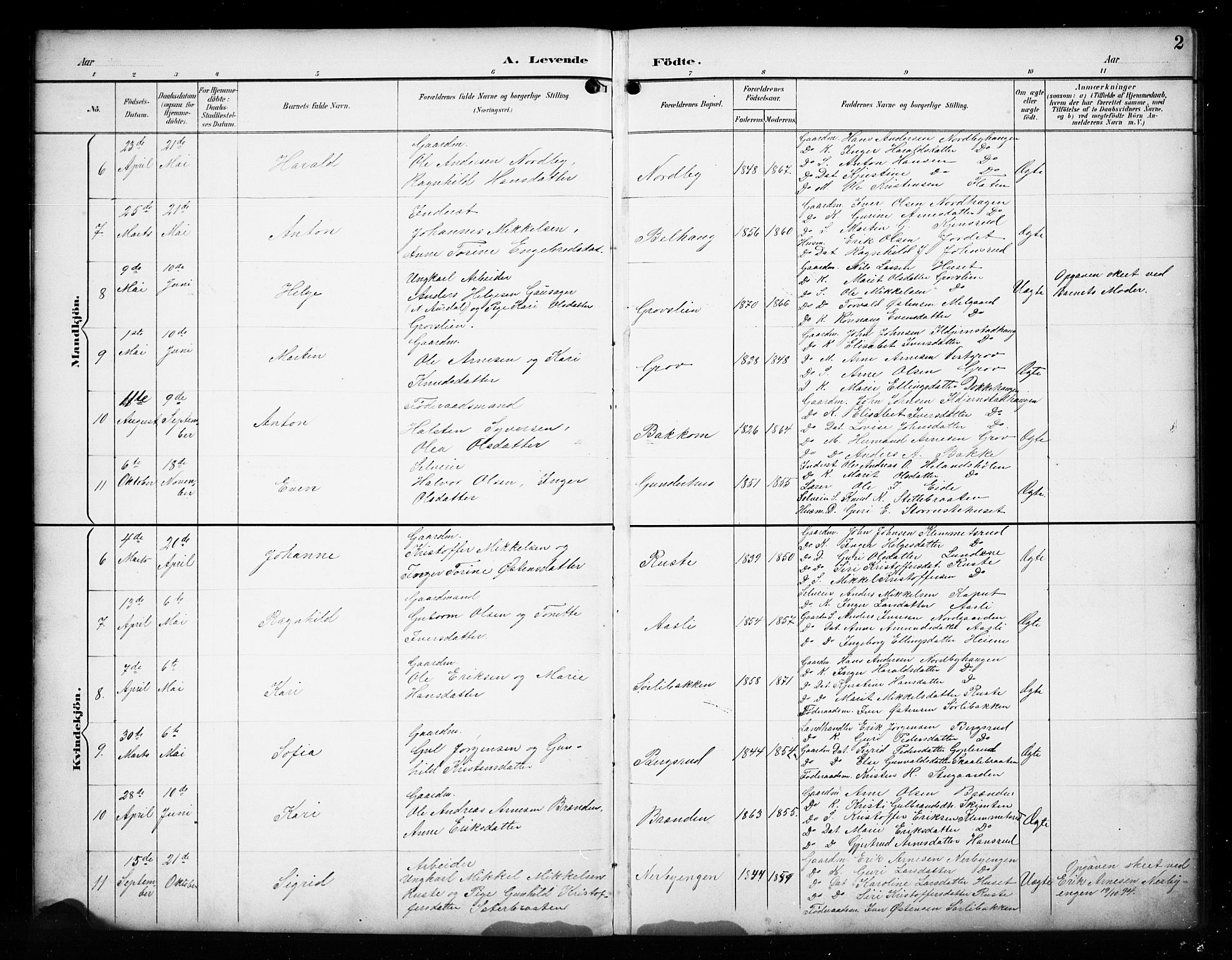 Sør-Aurdal prestekontor, SAH/PREST-128/H/Ha/Hab/L0017: Parish register (copy) no. 17, 1894-1923, p. 2