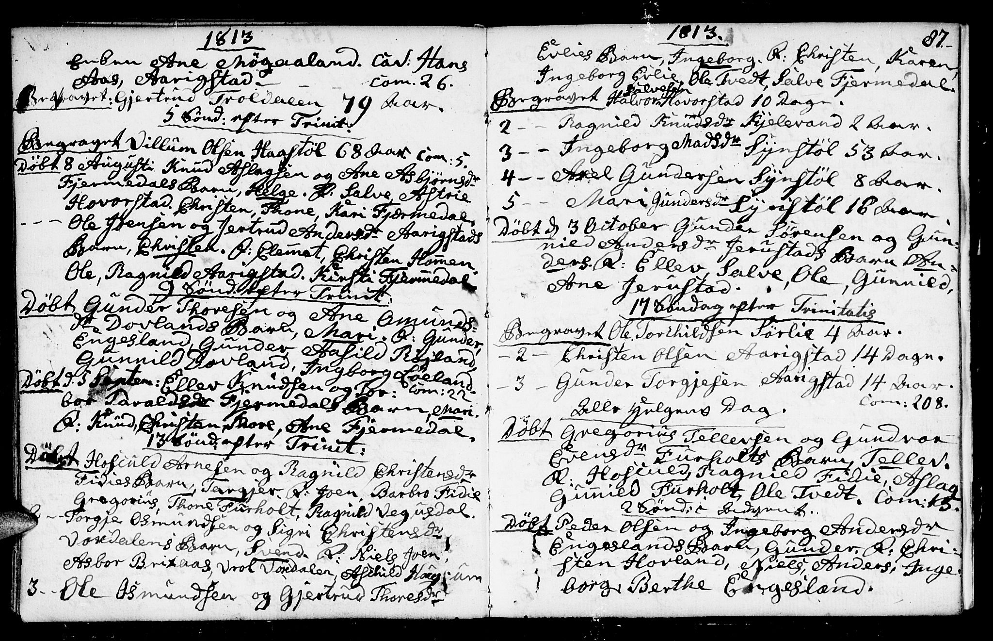 Herefoss sokneprestkontor, SAK/1111-0019/F/Fa/Fab/L0002: Parish register (official) no. A 2, 1780-1816, p. 87