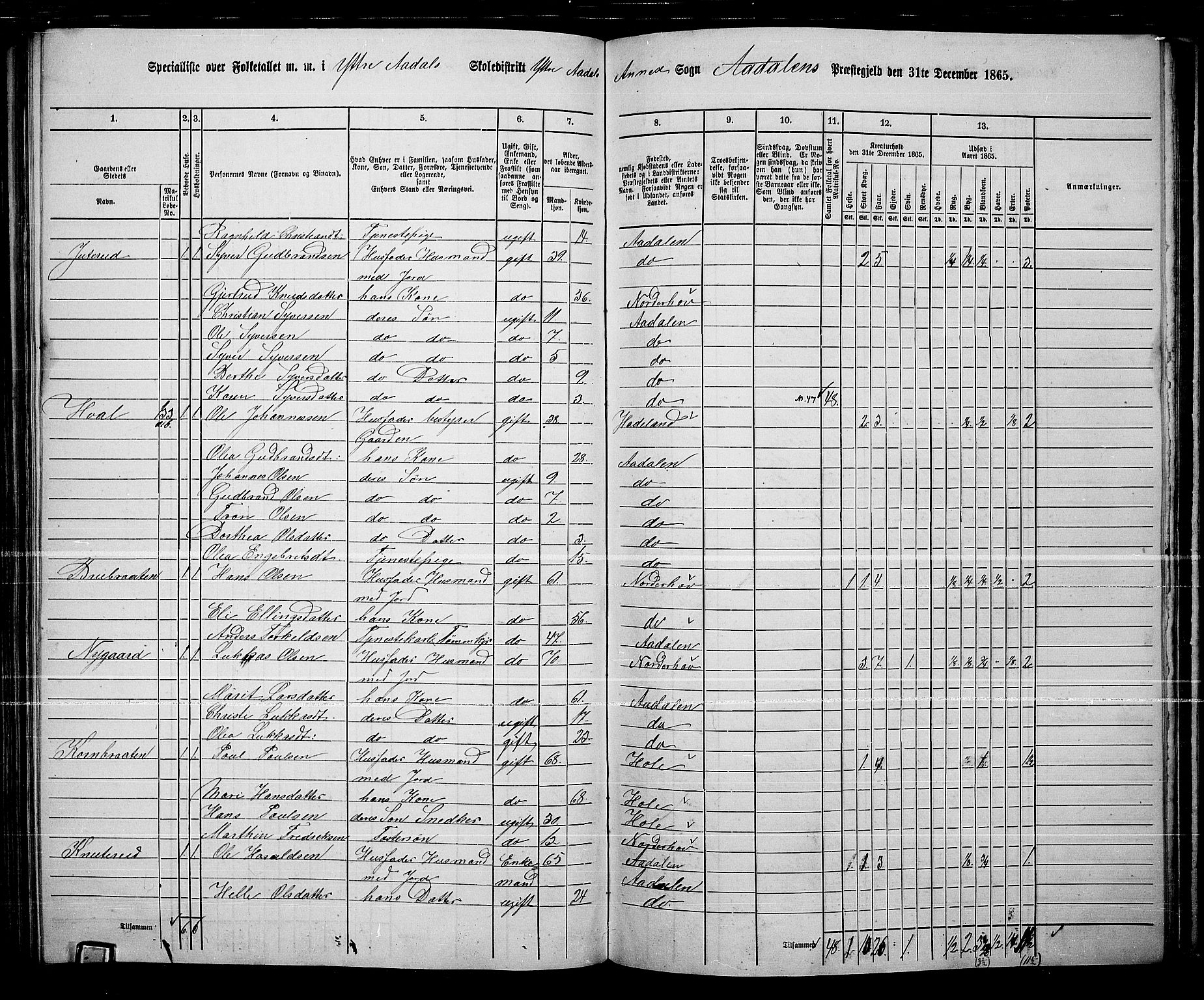 RA, 1865 census for Ådal, 1865, p. 91