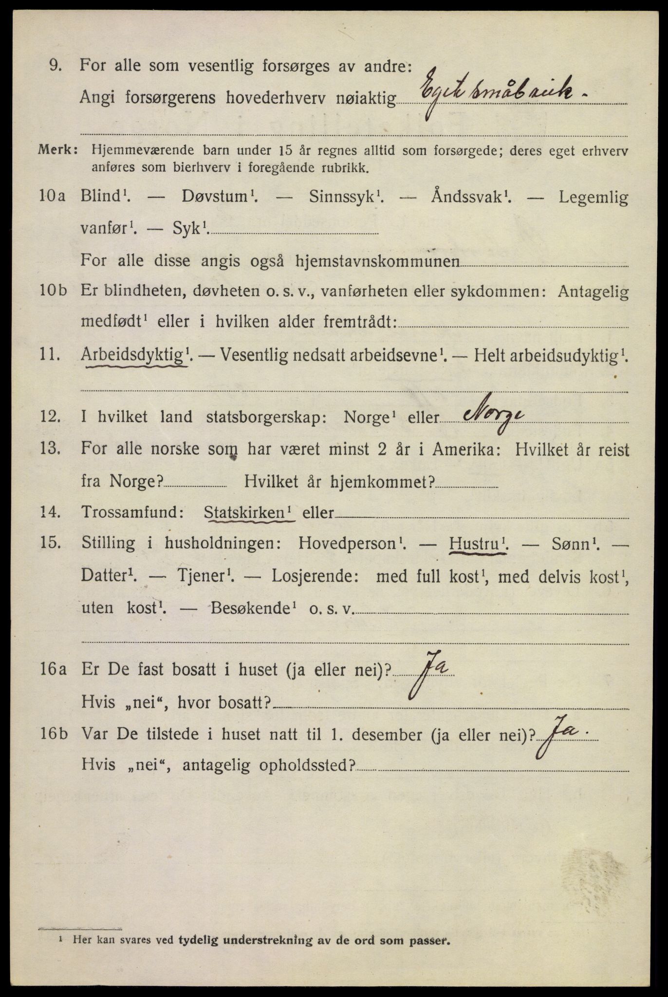 SAKO, 1920 census for Øvre Sandsvær, 1920, p. 1963