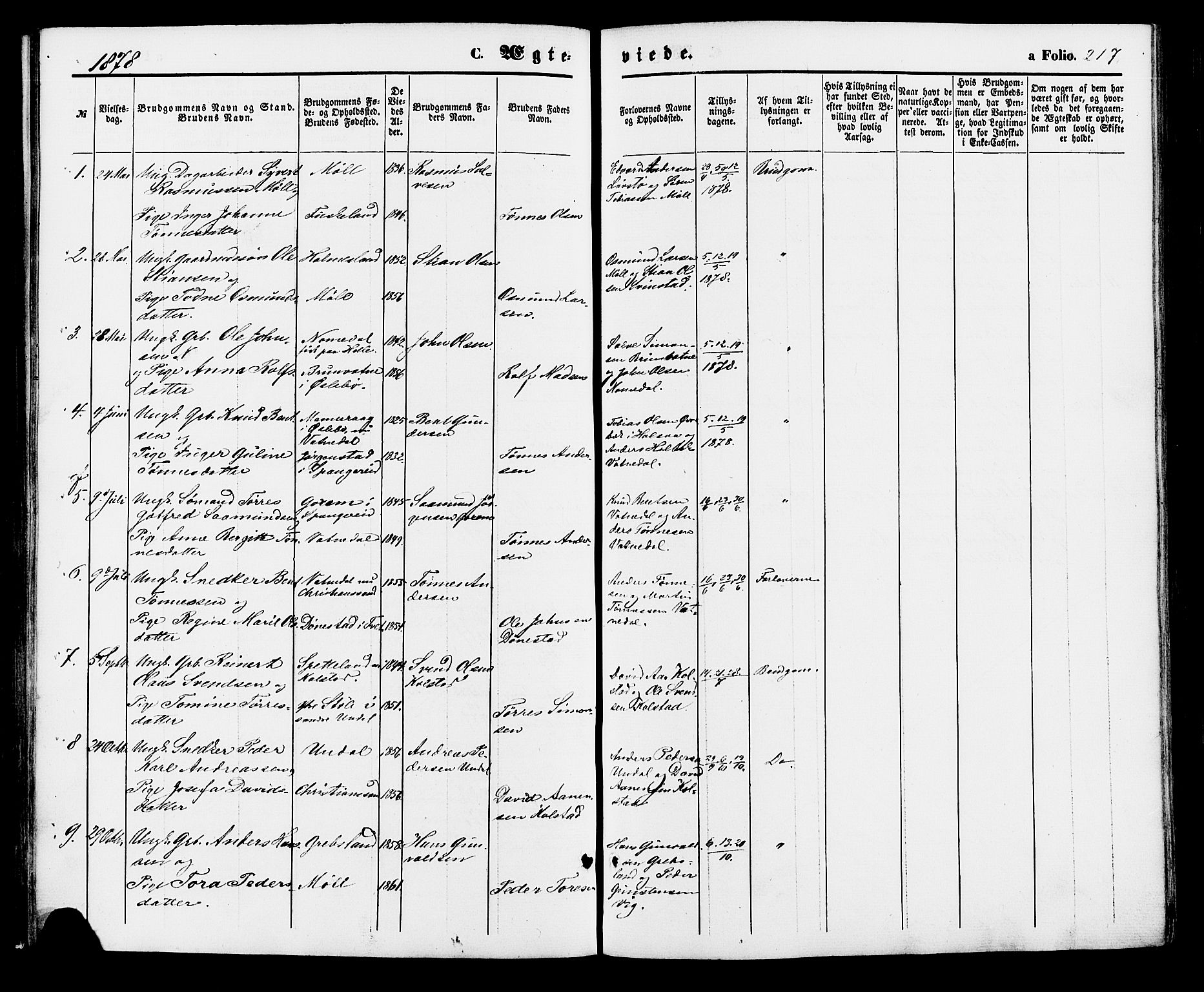 Holum sokneprestkontor, AV/SAK-1111-0022/F/Fa/Faa/L0006: Parish register (official) no. A 6, 1865-1883, p. 217