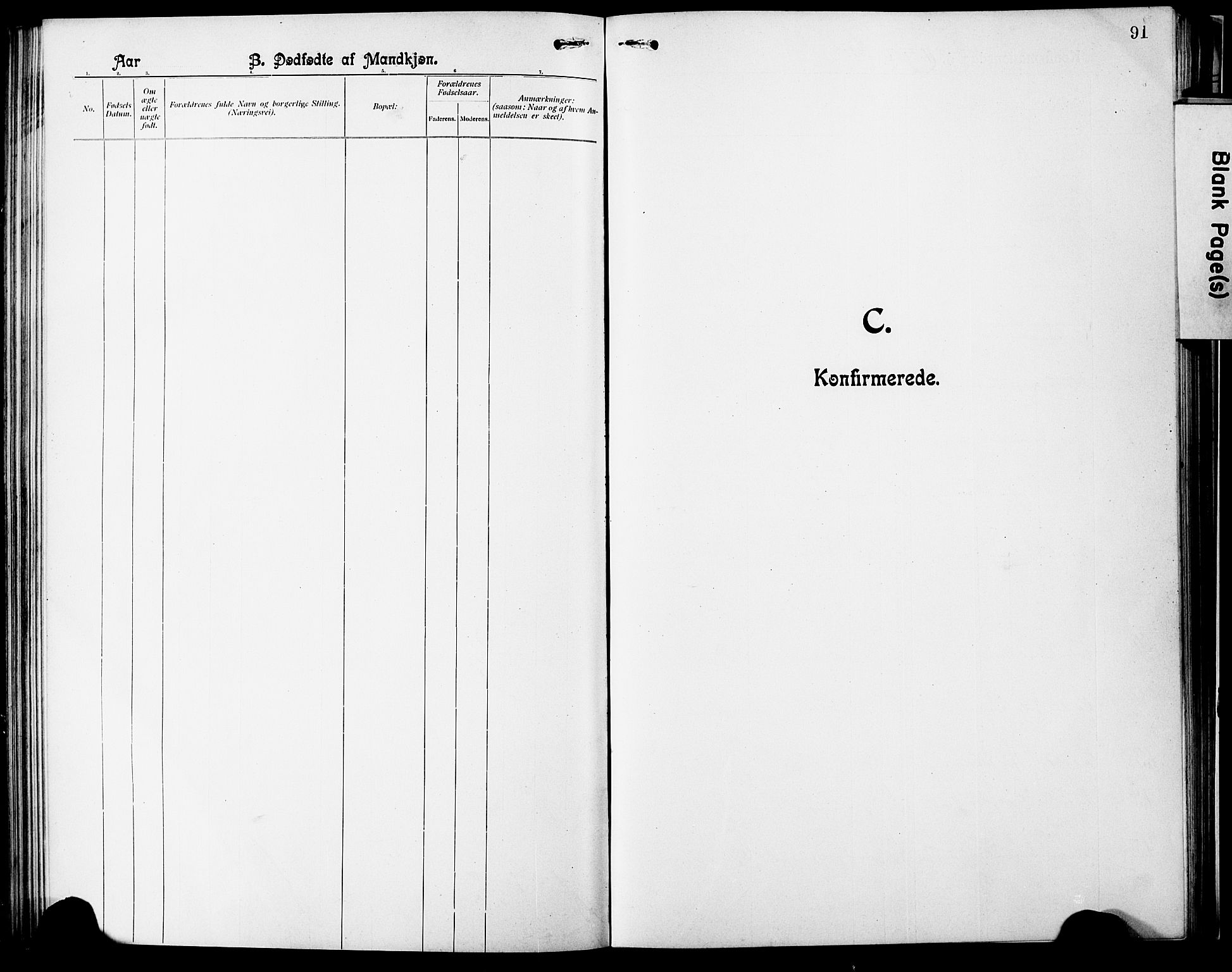 Ministerialprotokoller, klokkerbøker og fødselsregistre - Nordland, SAT/A-1459/803/L0077: Parish register (copy) no. 803C04, 1897-1930, p. 91