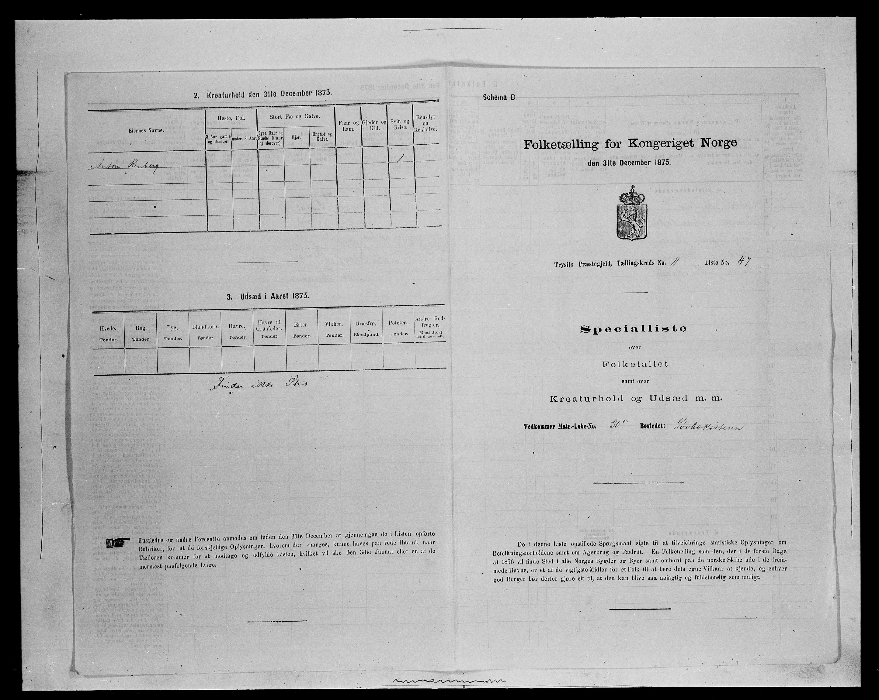 SAH, 1875 census for 0428P Trysil, 1875, p. 1321