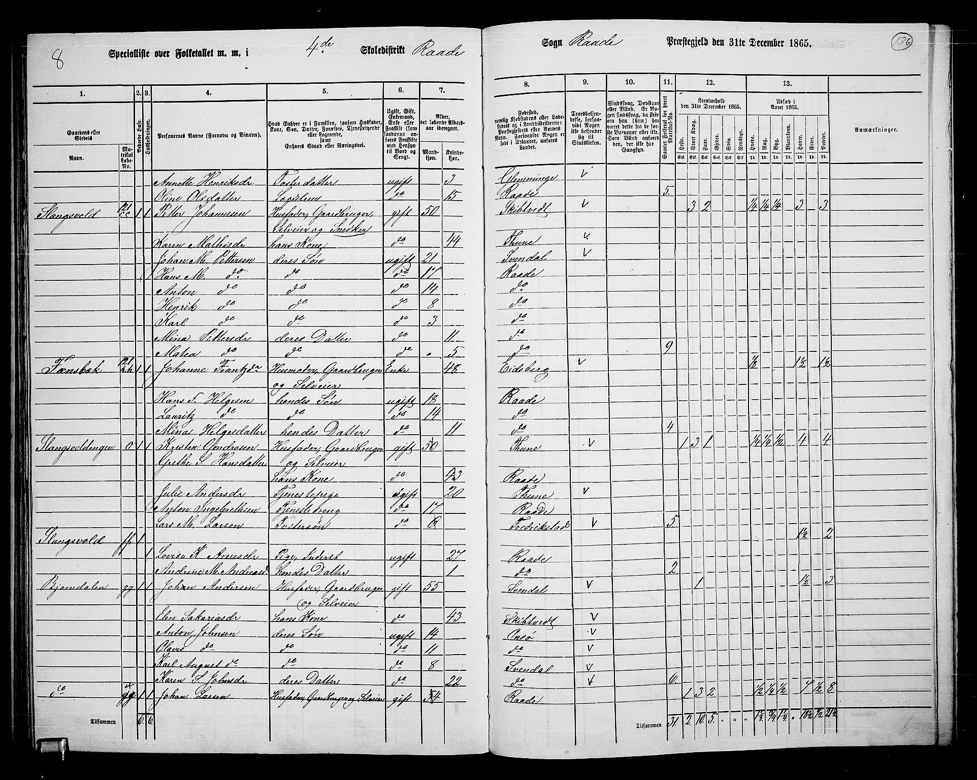 RA, 1865 census for Råde, 1865, p. 123