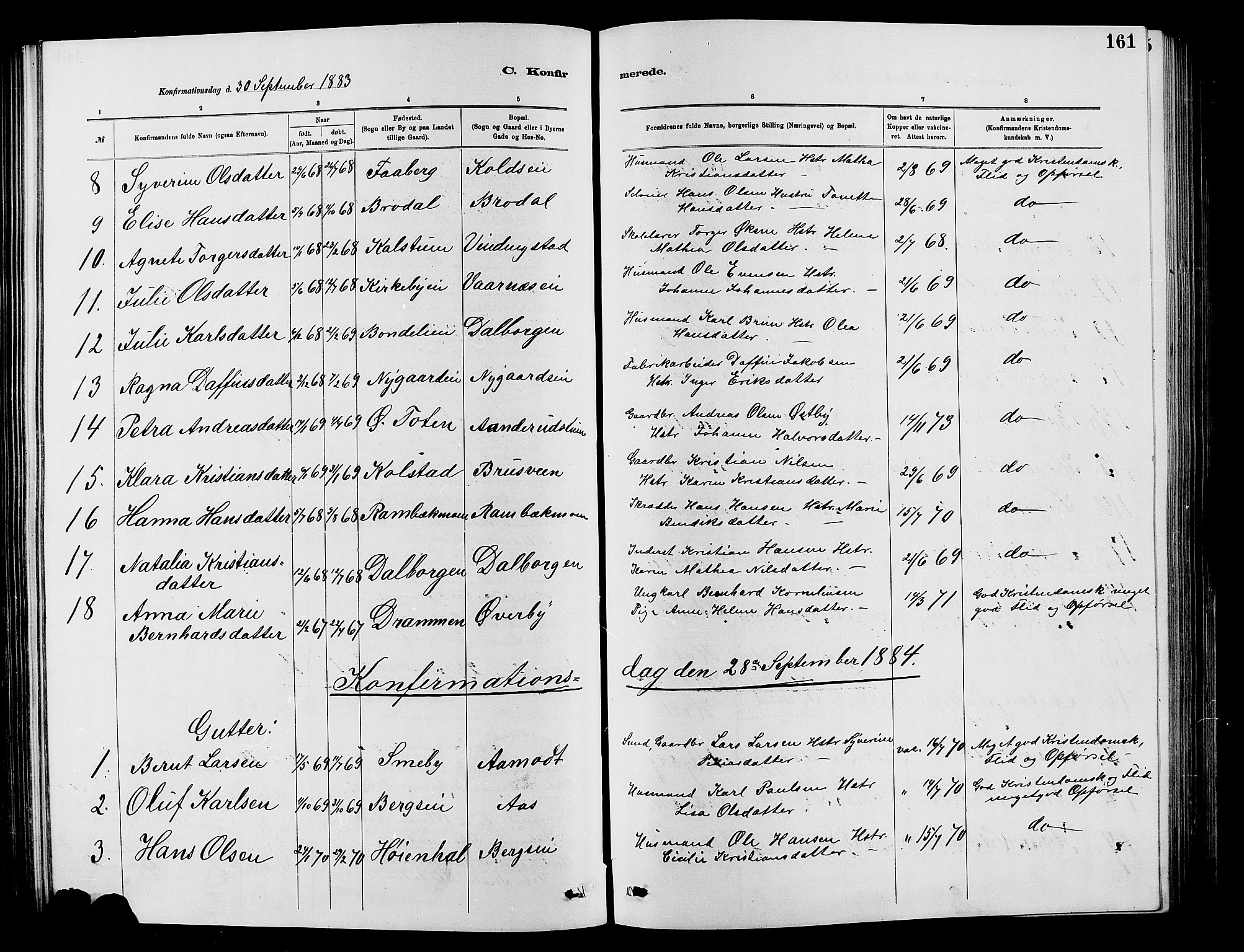 Vardal prestekontor, SAH/PREST-100/H/Ha/Hab/L0007: Parish register (copy) no. 7 /1, 1881-1895, p. 161