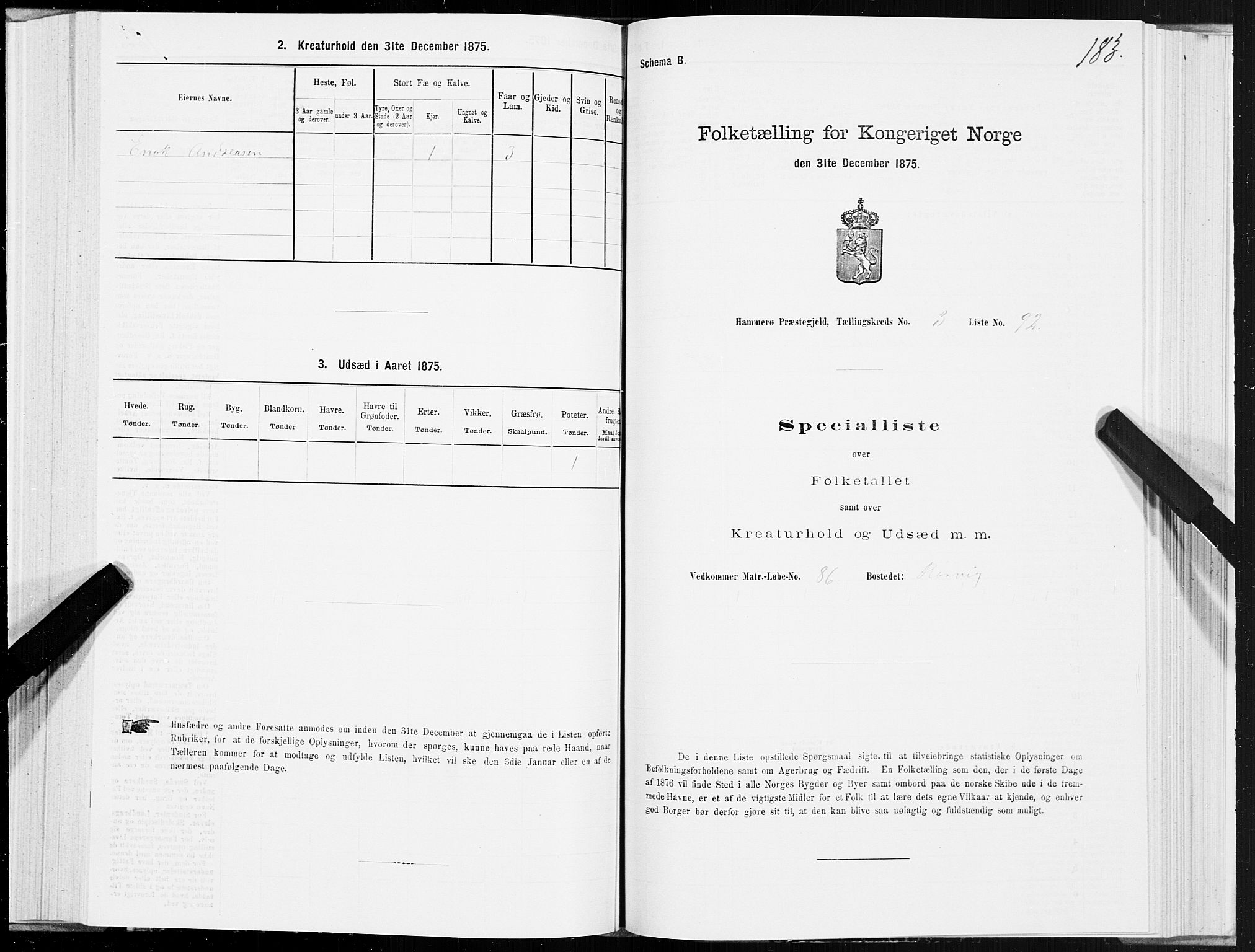 SAT, 1875 census for 1849P Hamarøy, 1875, p. 2183