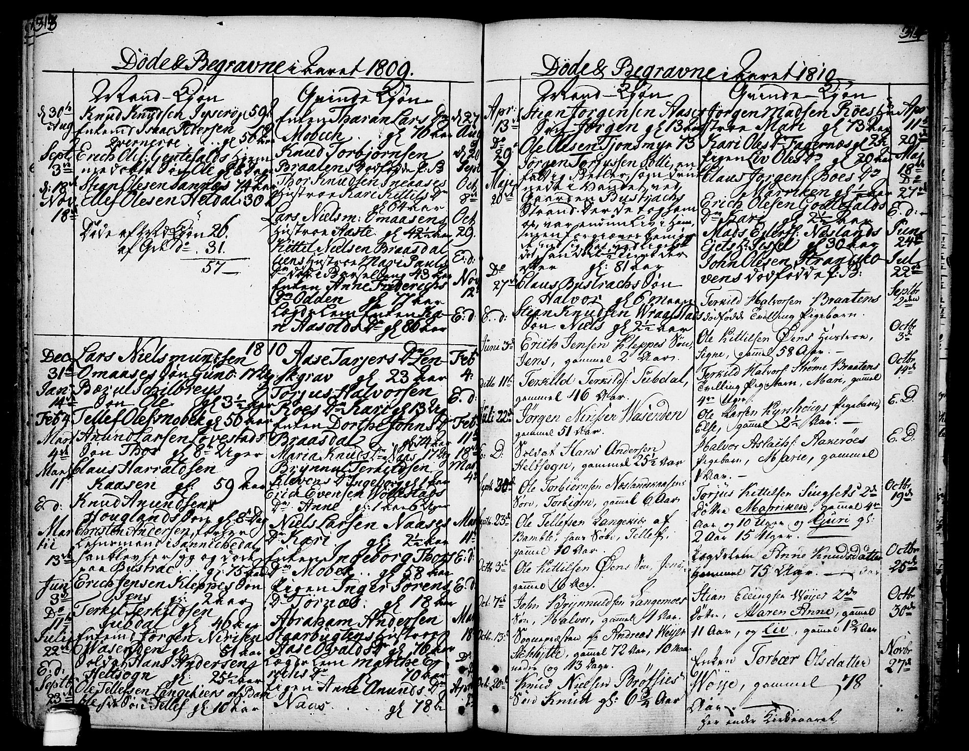 Drangedal kirkebøker, SAKO/A-258/F/Fa/L0003: Parish register (official) no. 3, 1768-1814, p. 313-314