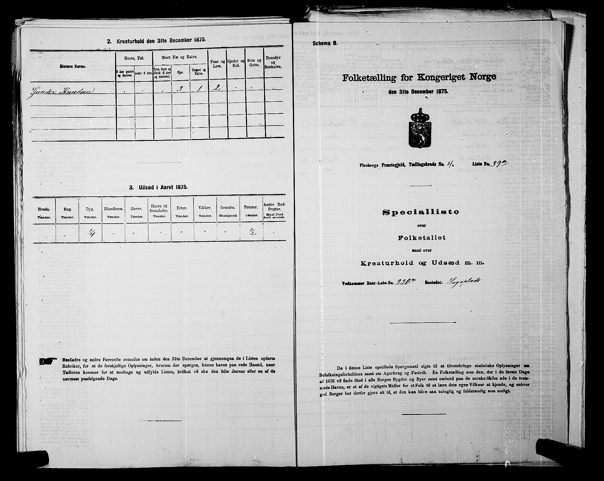 SAKO, 1875 census for 0631P Flesberg, 1875, p. 771