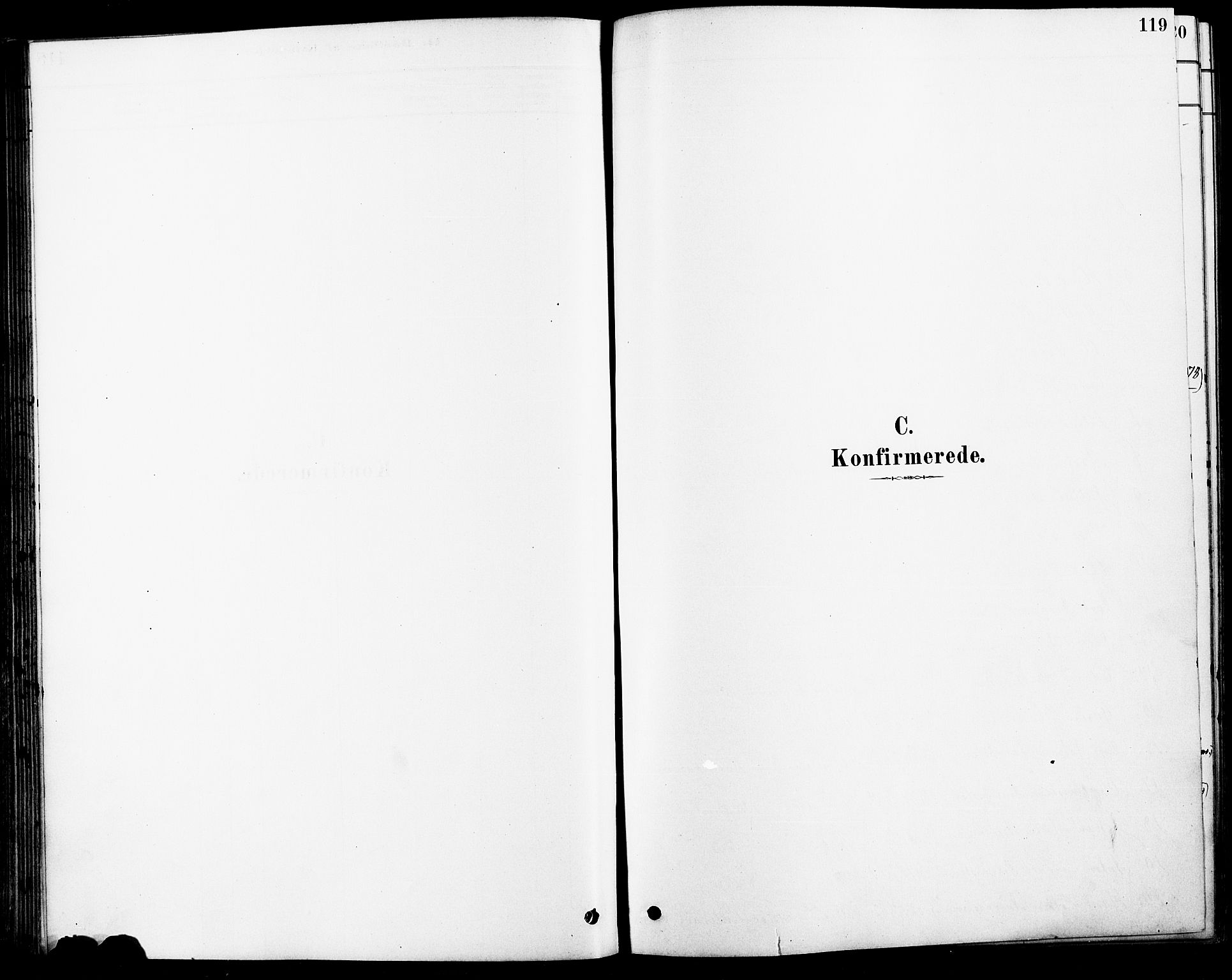 Fet prestekontor Kirkebøker, SAO/A-10370a/F/Fa/L0014: Parish register (official) no. I 14, 1878-1891, p. 119
