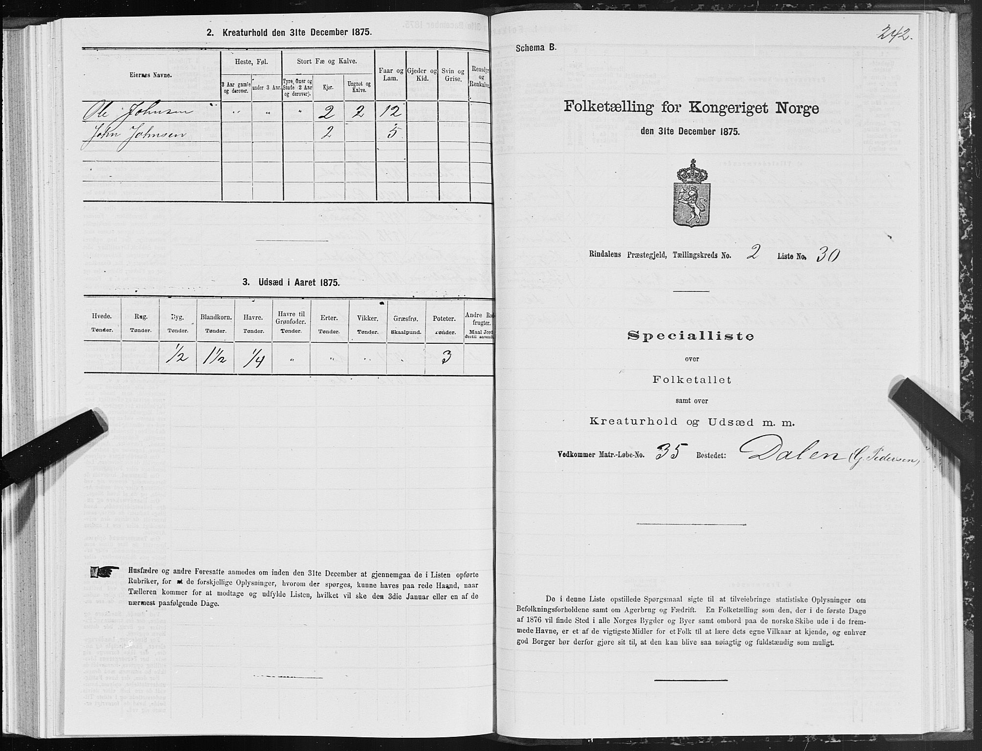 SAT, 1875 census for 1567P Rindal, 1875, p. 1242