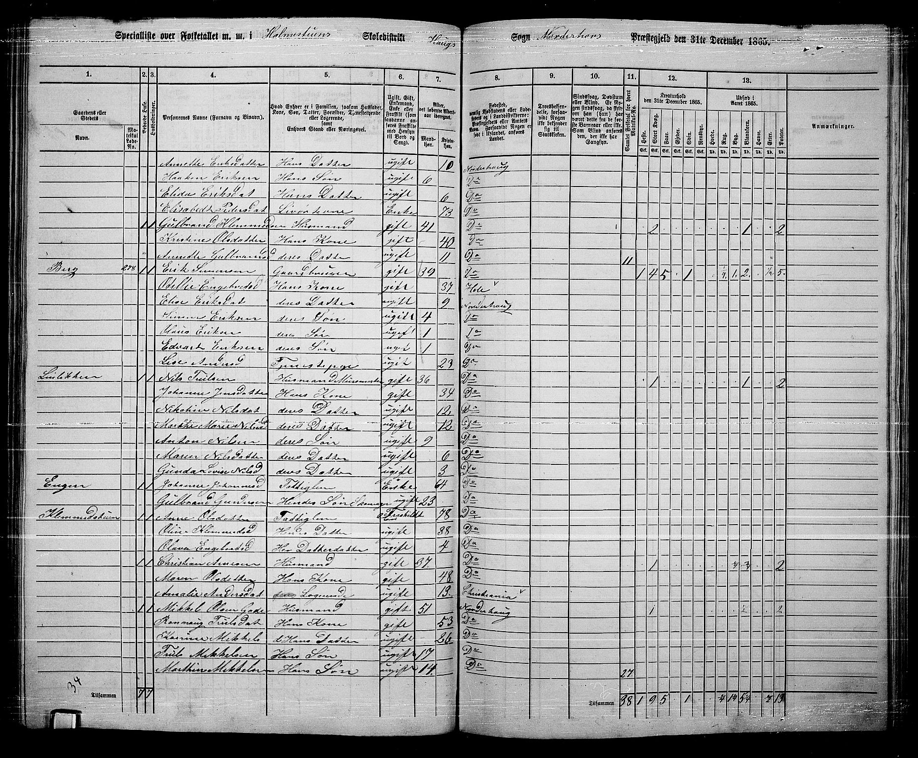 RA, 1865 census for Norderhov/Norderhov, Haug og Lunder, 1865, p. 224