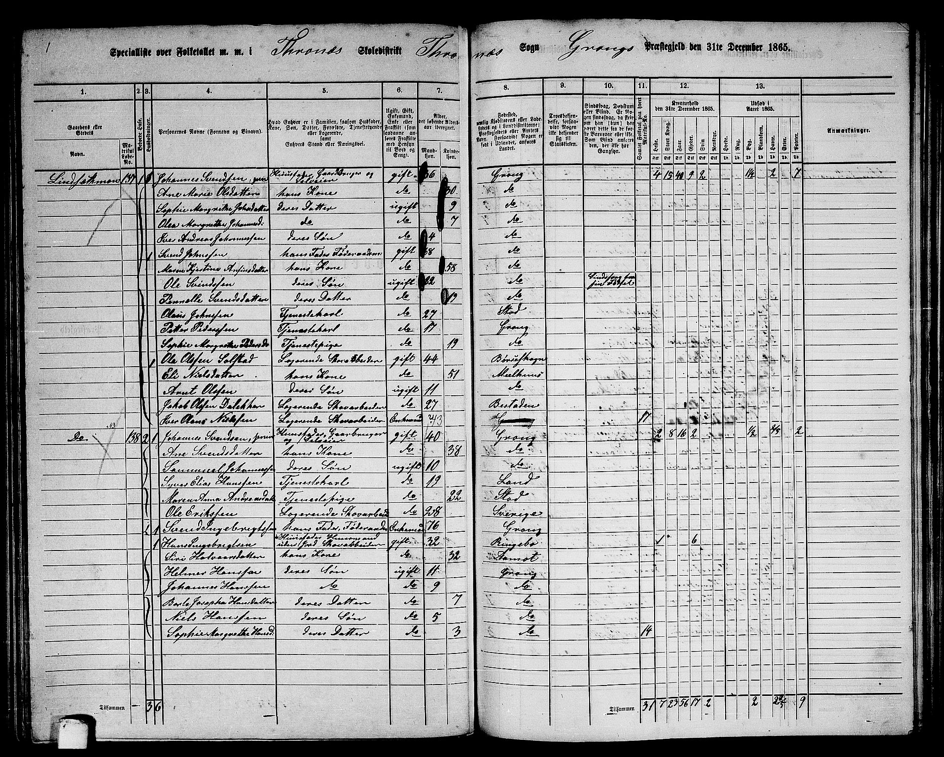 RA, 1865 census for Grong, 1865, p. 120