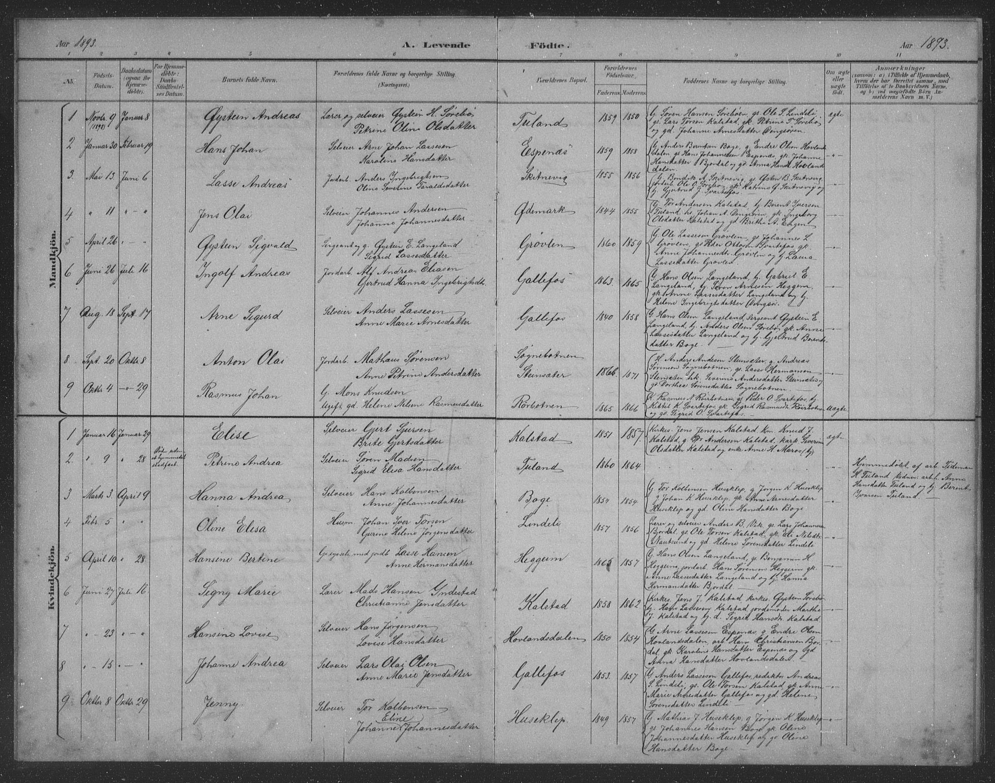 Fjaler sokneprestembete, AV/SAB-A-79801/H/Hab/Habd/L0002: Parish register (copy) no. D 2, 1892-1921