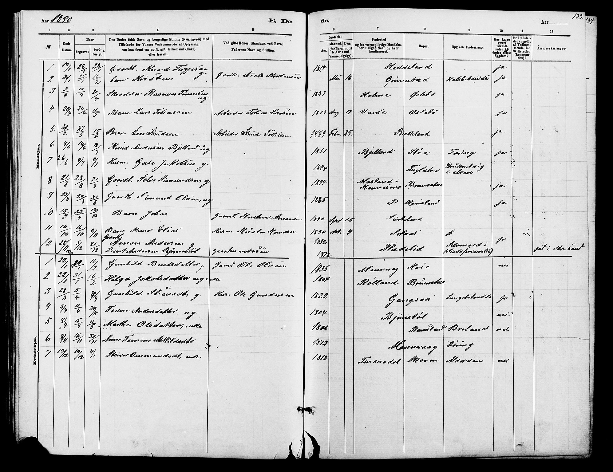 Holum sokneprestkontor, SAK/1111-0022/F/Fb/Fbc/L0003: Parish register (copy) no. B 3, 1882-1908, p. 133