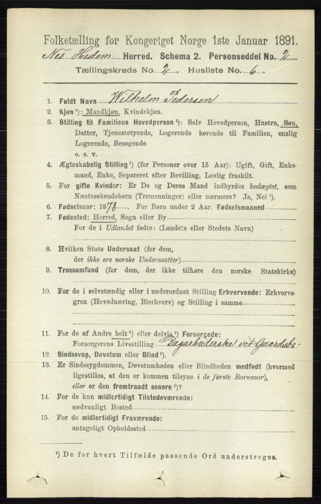 RA, 1891 census for 0411 Nes, 1891, p. 1108