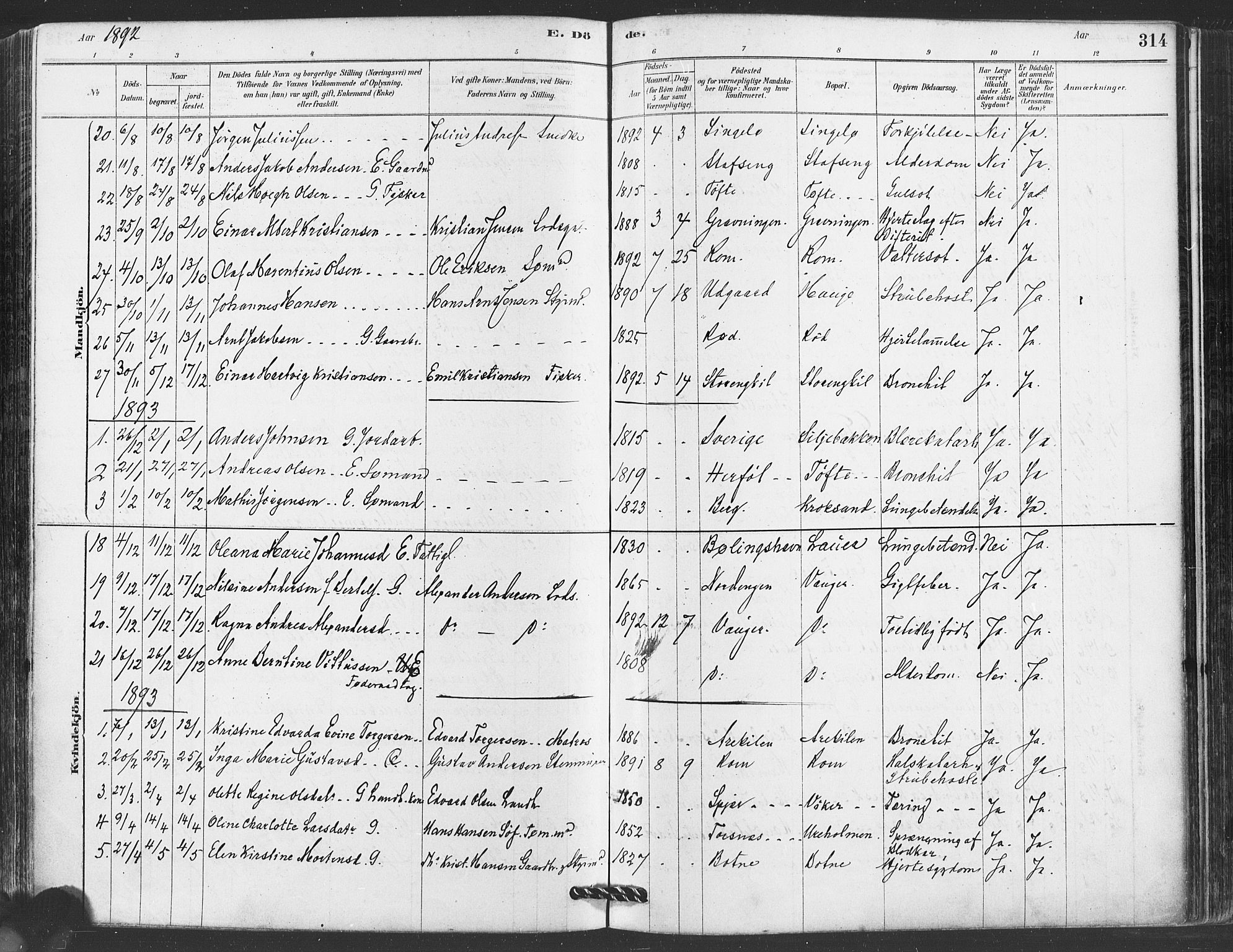 Hvaler prestekontor Kirkebøker, AV/SAO-A-2001/F/Fa/L0008: Parish register (official) no. I 8, 1878-1895, p. 314