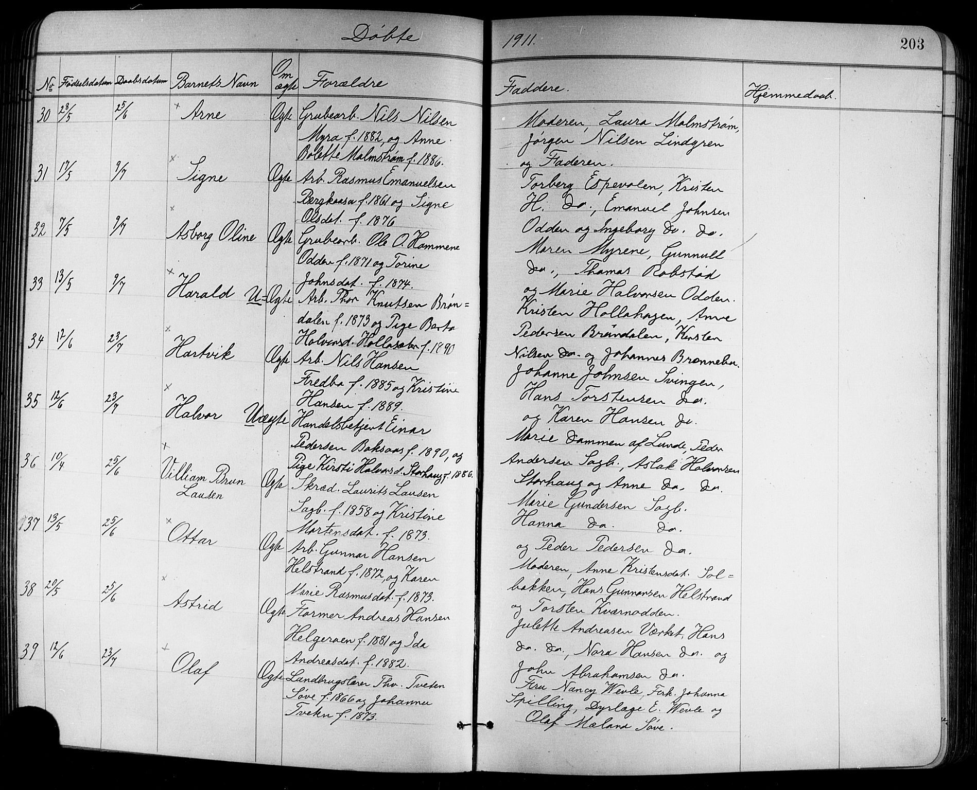 Holla kirkebøker, AV/SAKO-A-272/G/Ga/L0005: Parish register (copy) no. I 5, 1891-1917, p. 203