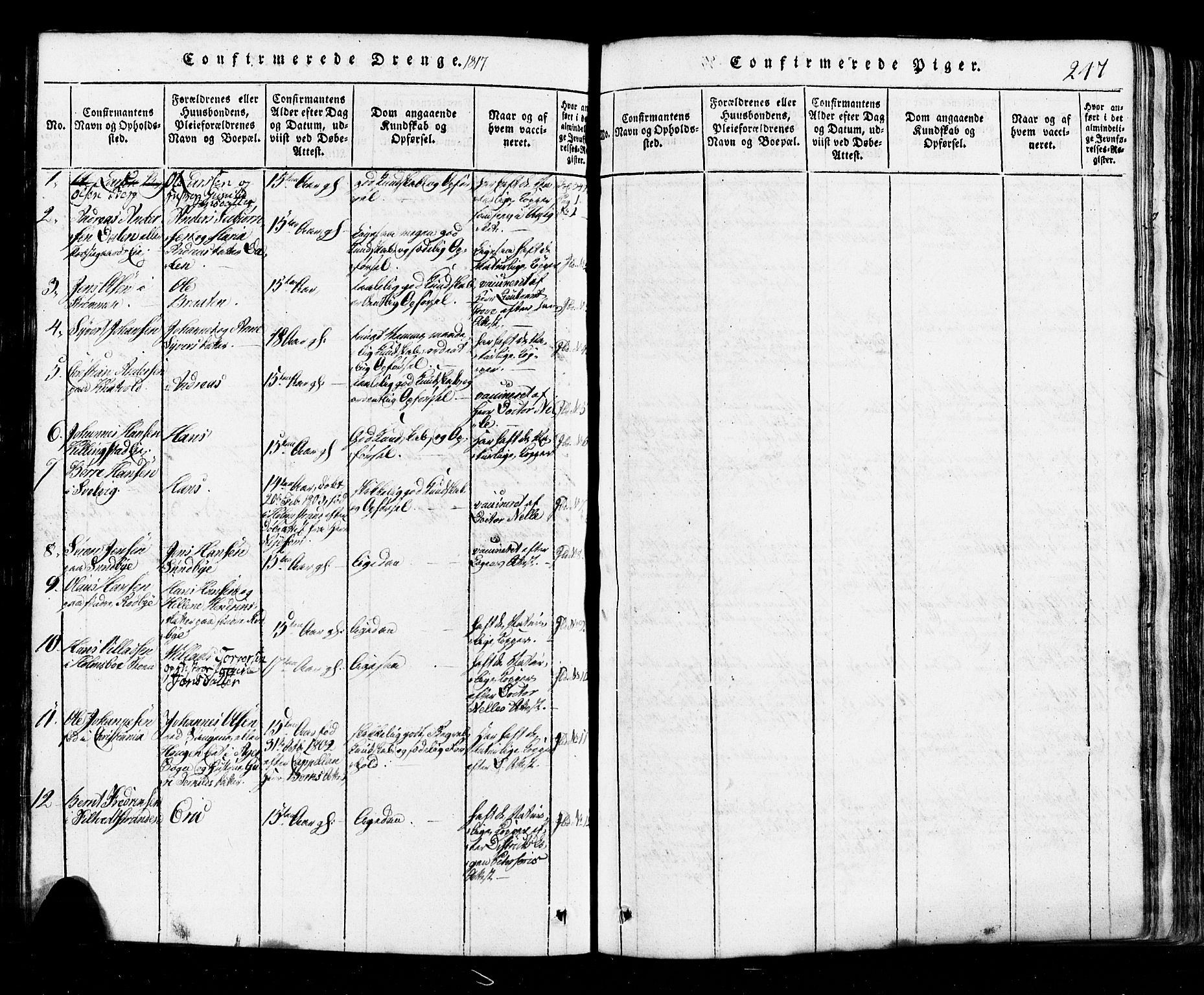 Hurum kirkebøker, SAKO/A-229/G/Ga/L0001: Parish register (copy) no. I 1, 1816-1826, p. 247