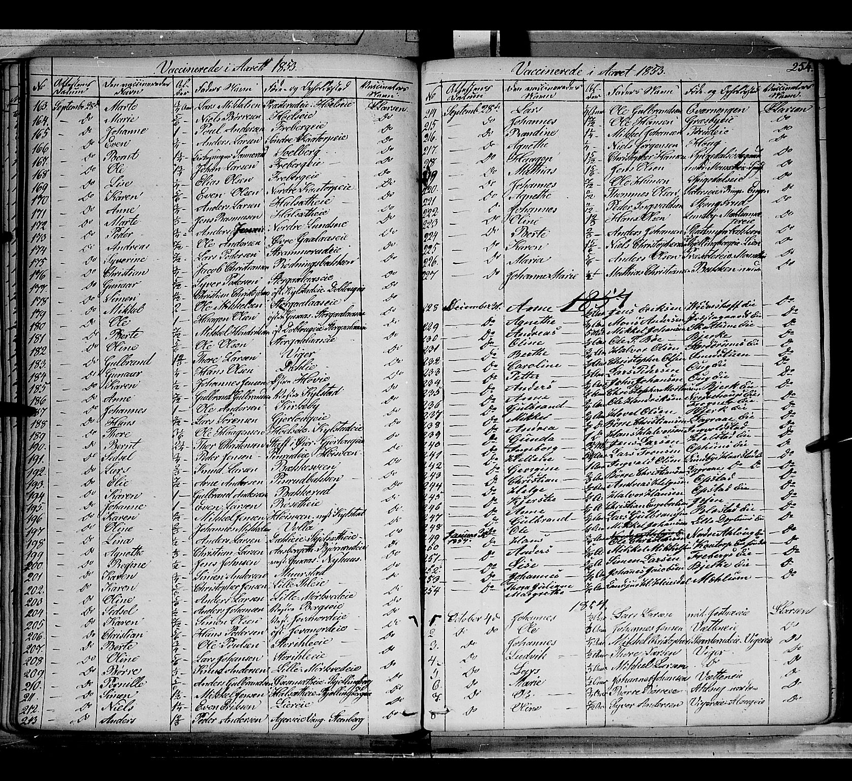 Vang prestekontor, Hedmark, AV/SAH-PREST-008/H/Ha/Haa/L0010: Parish register (official) no. 10, 1841-1855, p. 254