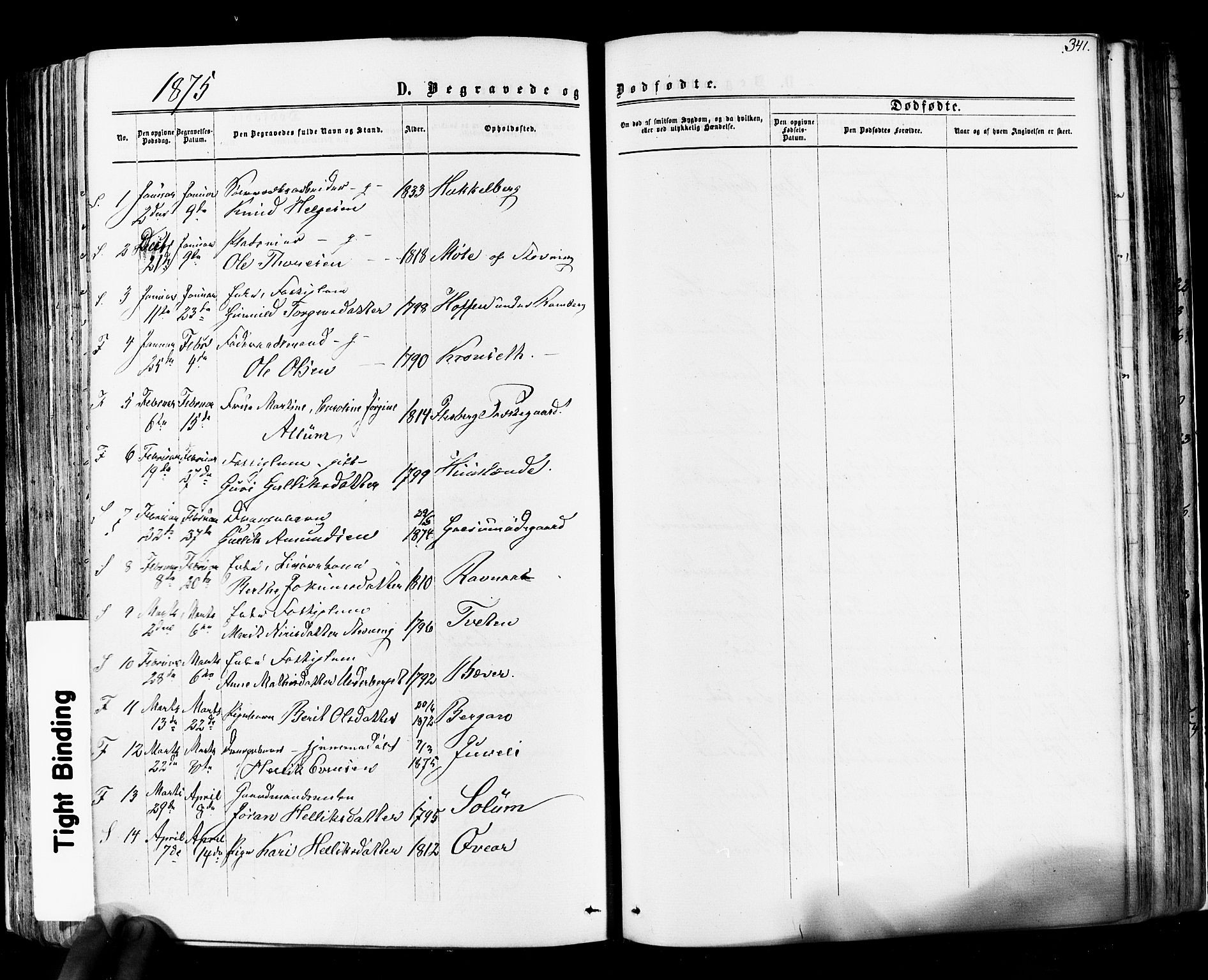 Flesberg kirkebøker, AV/SAKO-A-18/F/Fa/L0007: Parish register (official) no. I 7, 1861-1878, p. 341