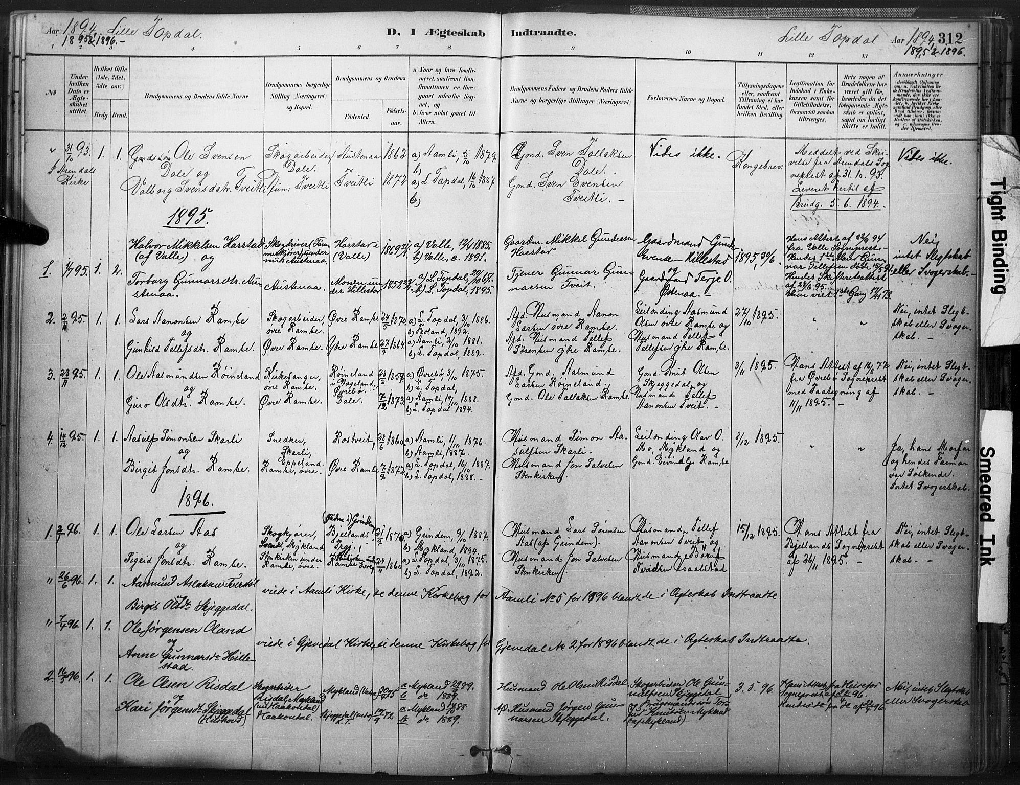 Åmli sokneprestkontor, AV/SAK-1111-0050/F/Fa/Fac/L0010: Parish register (official) no. A 10 /3, 1885-1899, p. 312