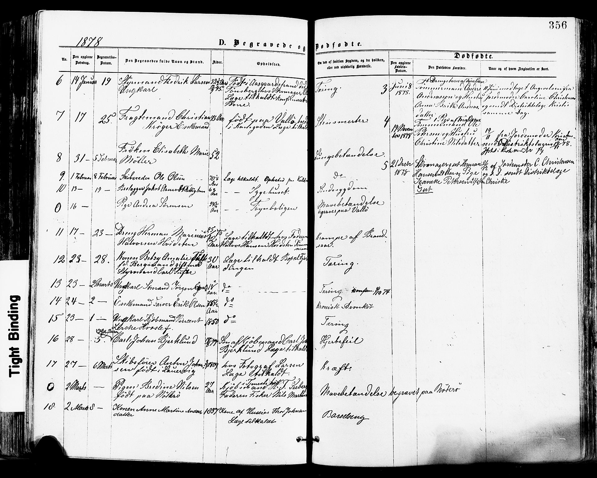 Tønsberg kirkebøker, SAKO/A-330/F/Fa/L0010: Parish register (official) no. I 10, 1874-1880, p. 356