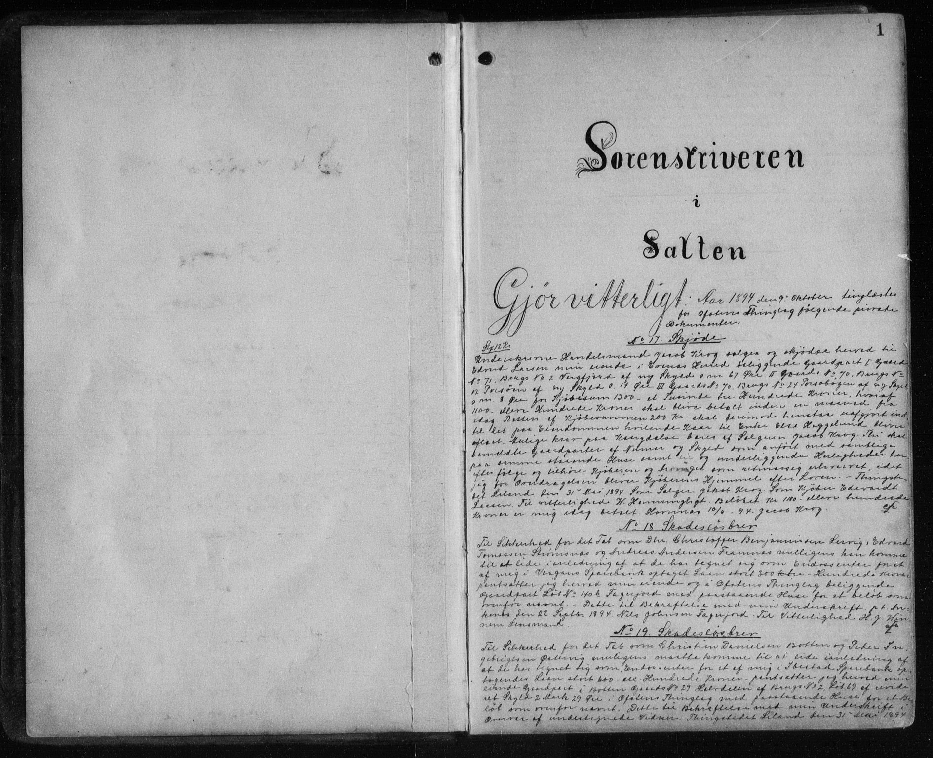 Salten sorenskriveri, SAT/A-4578/1/2/2C/L0028: Mortgage book no. Y, 1894-1896, p. 1