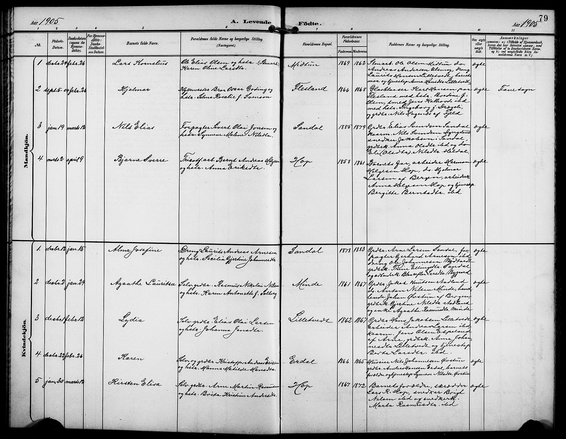 Birkeland Sokneprestembete, SAB/A-74601/H/Hab: Parish register (copy) no. A 5, 1897-1905, p. 79
