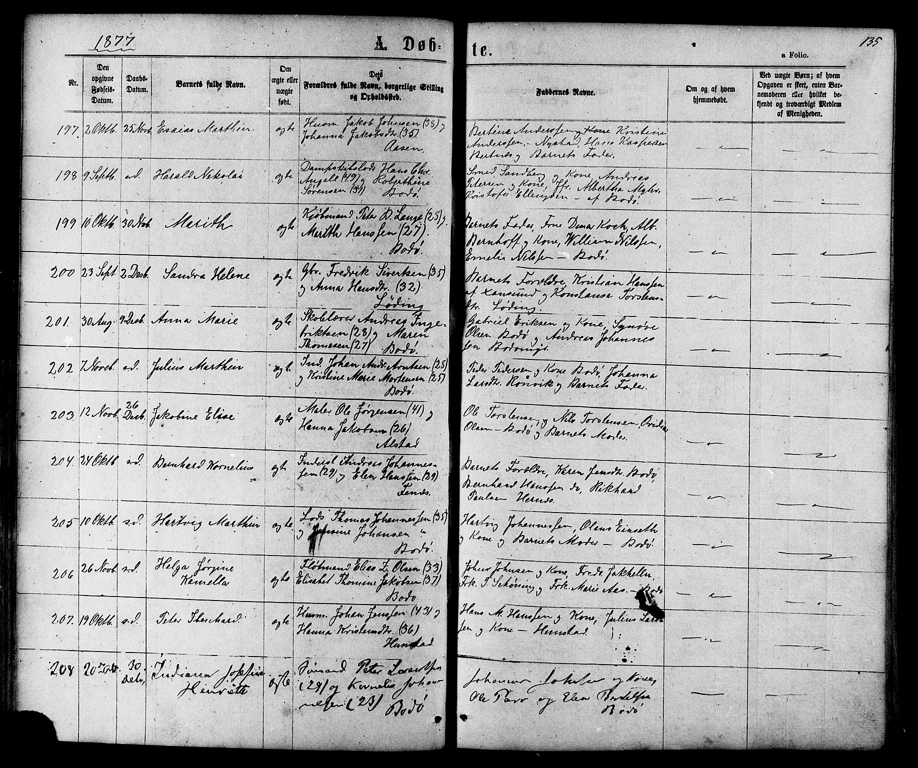 Ministerialprotokoller, klokkerbøker og fødselsregistre - Nordland, AV/SAT-A-1459/801/L0029: Parish register (copy) no. 801C04, 1868-1878, p. 135