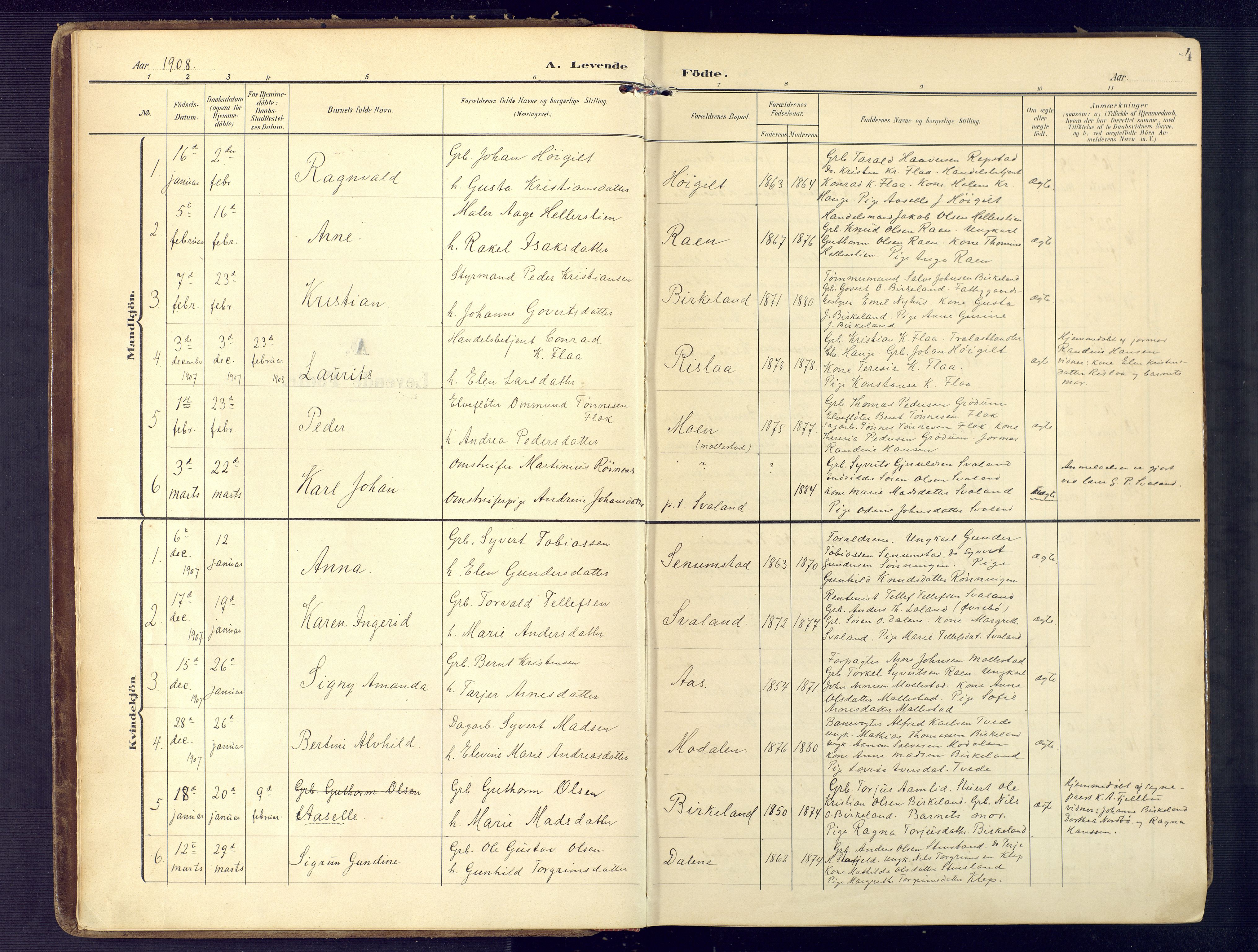 Birkenes sokneprestkontor, AV/SAK-1111-0004/F/Fa/L0006: Parish register (official) no. A 6, 1908-1932, p. 4