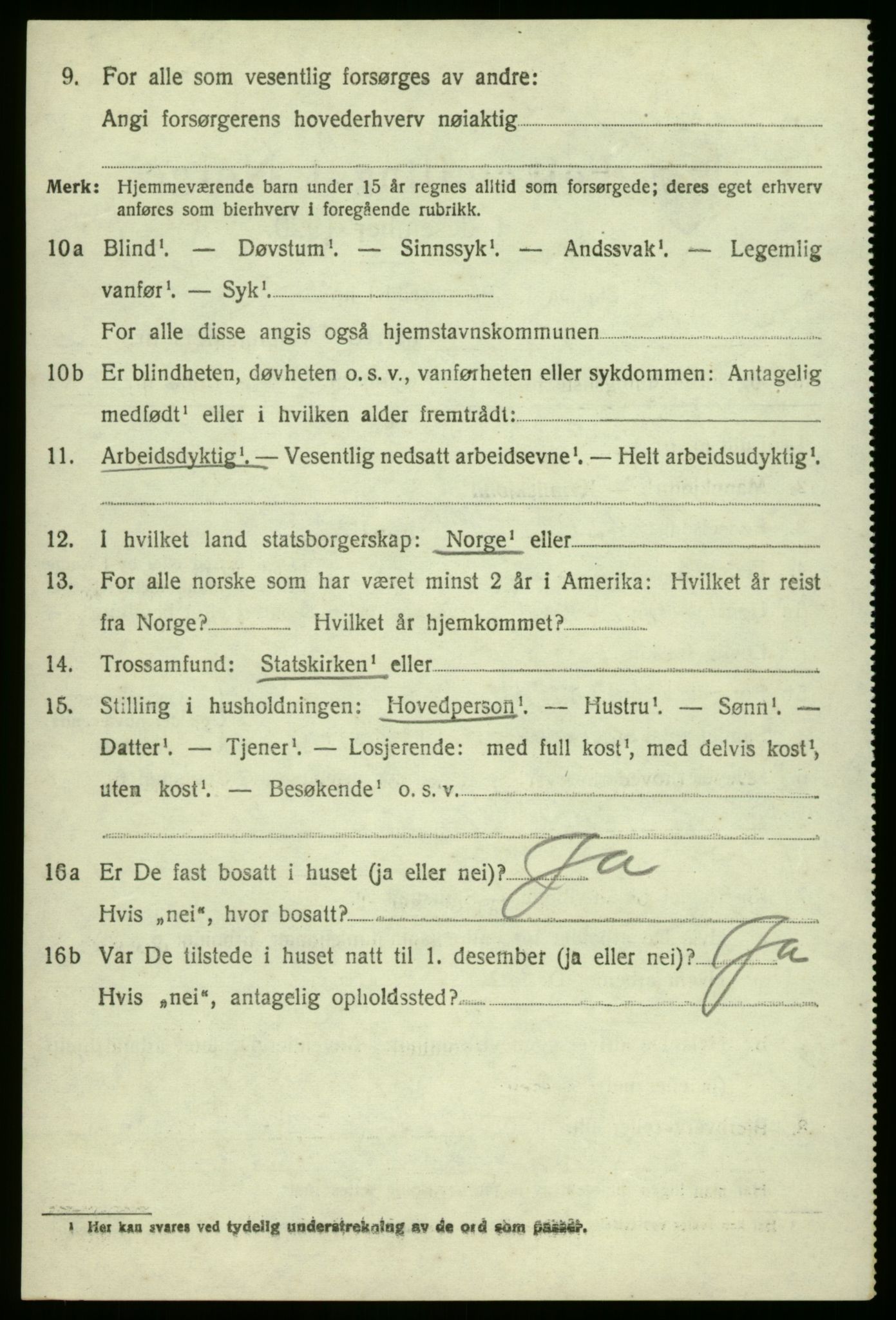 SAO, 1920 census for Hvaler, 1920, p. 4343